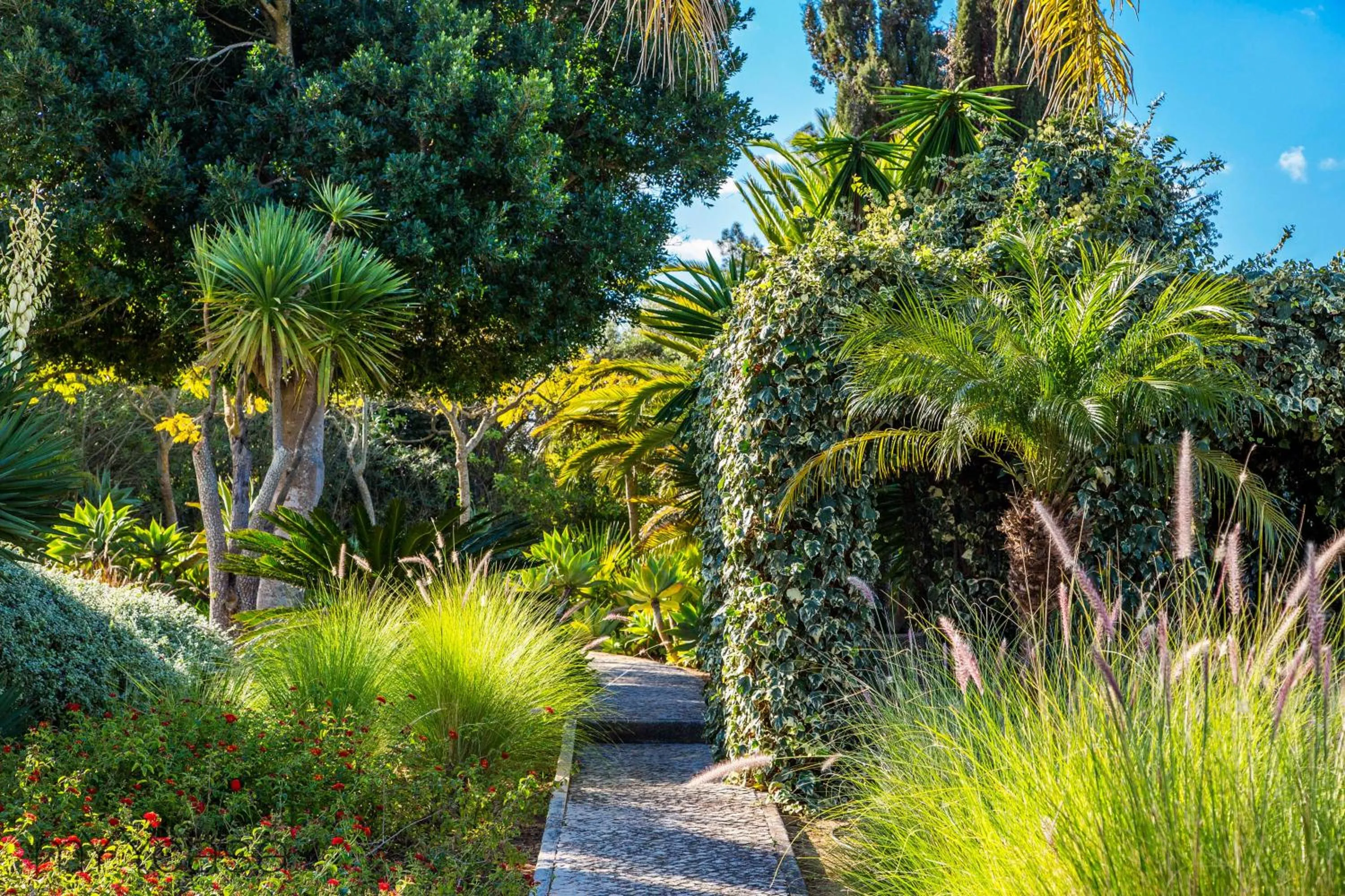 Garden in Quinta Azul - Gorgeous Apartment with Pool & Private Terrace