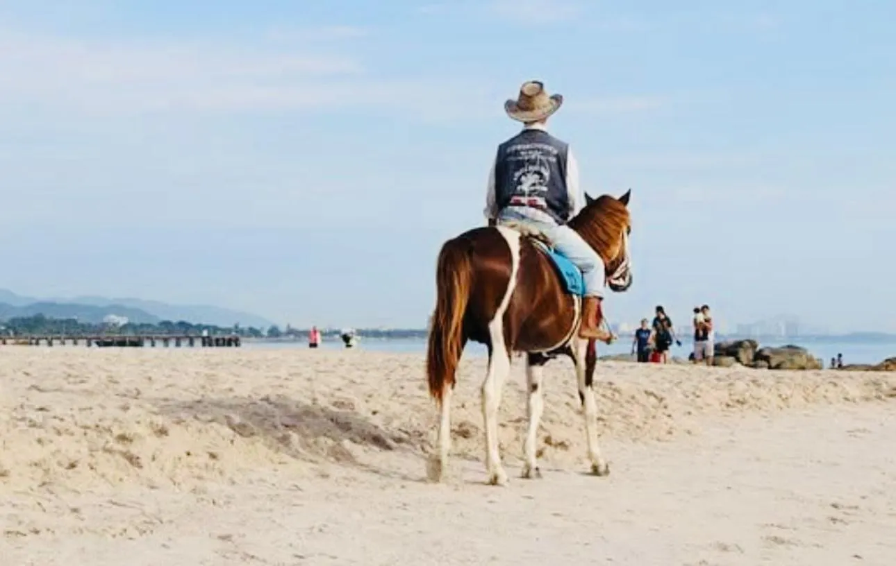 MANDARIN LODGE by victor