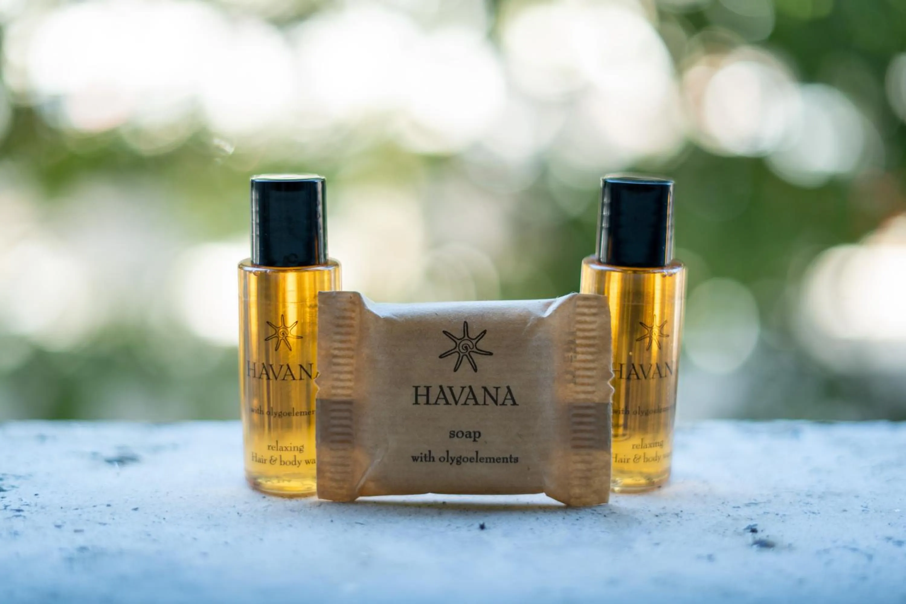 Decorative detail in Capital Rooms