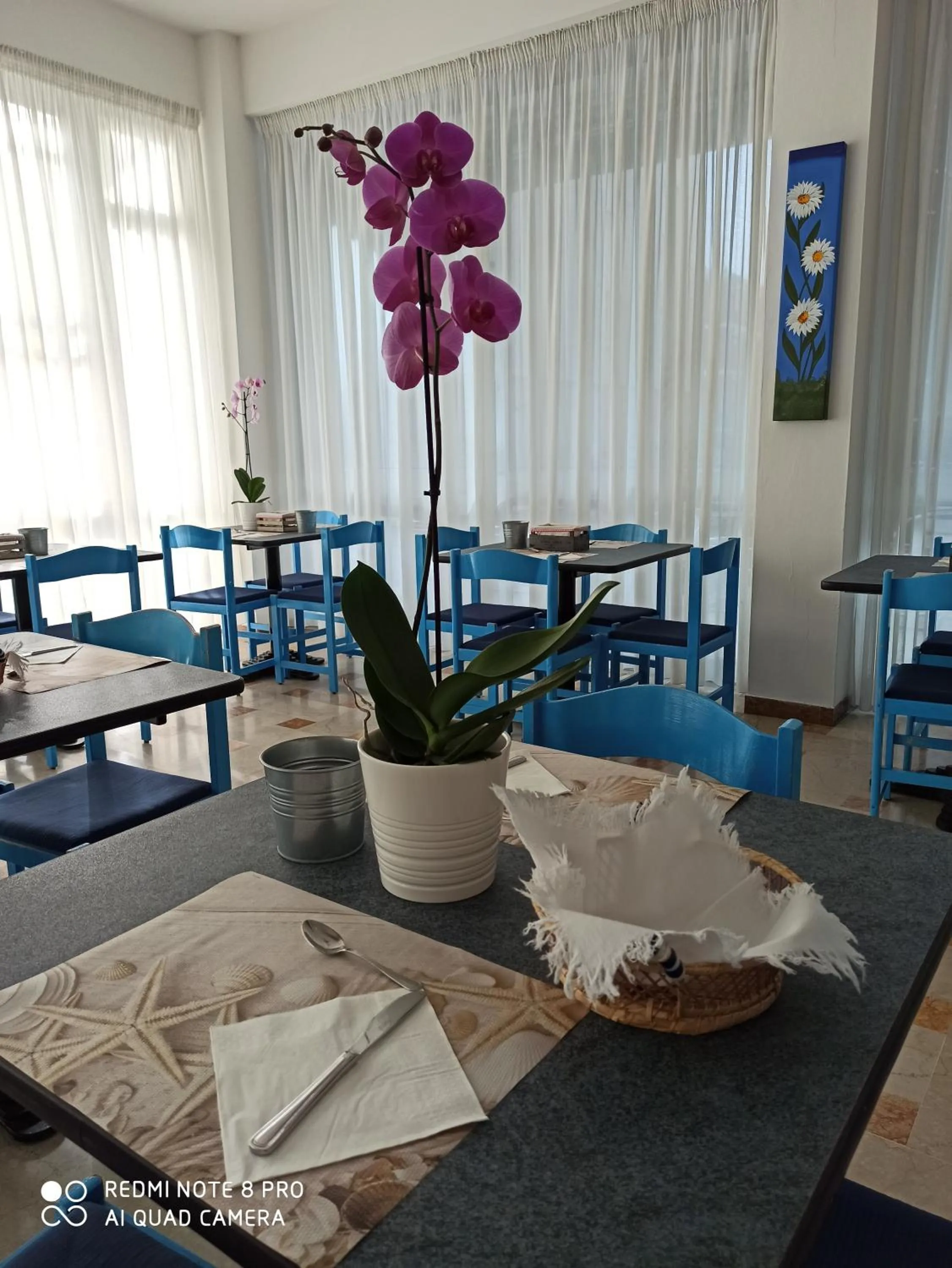 Restaurant/places to eat in Arix Hotel
