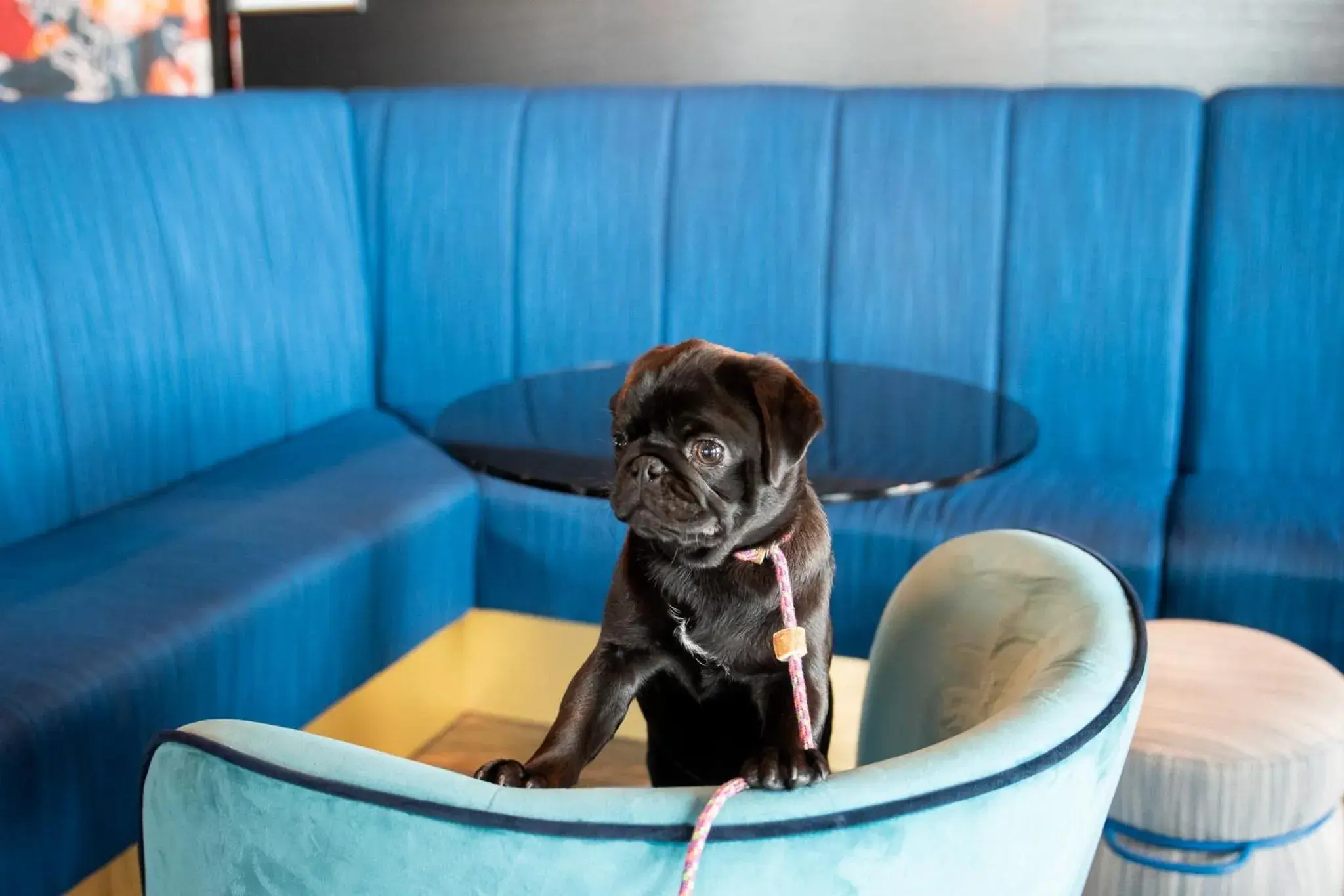 Lounge or bar in ProfilHotels Halmstad Plaza Lounge or bar in ProfilHotels Halmstad Plaza