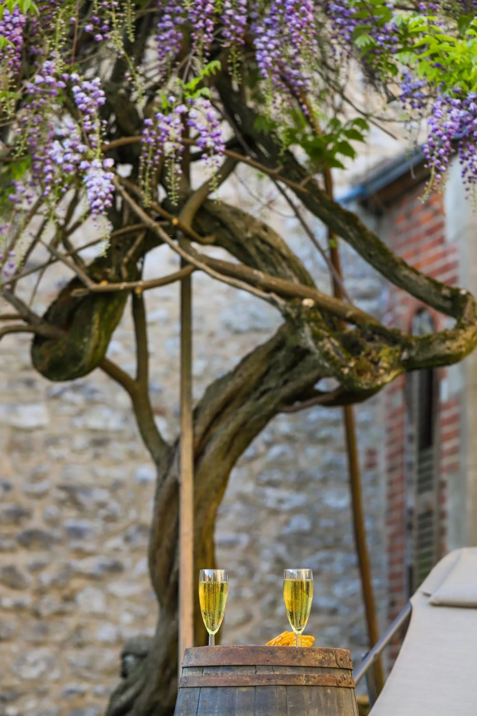 Garden in DEMEURE DES CORDELIERS avec parking privé