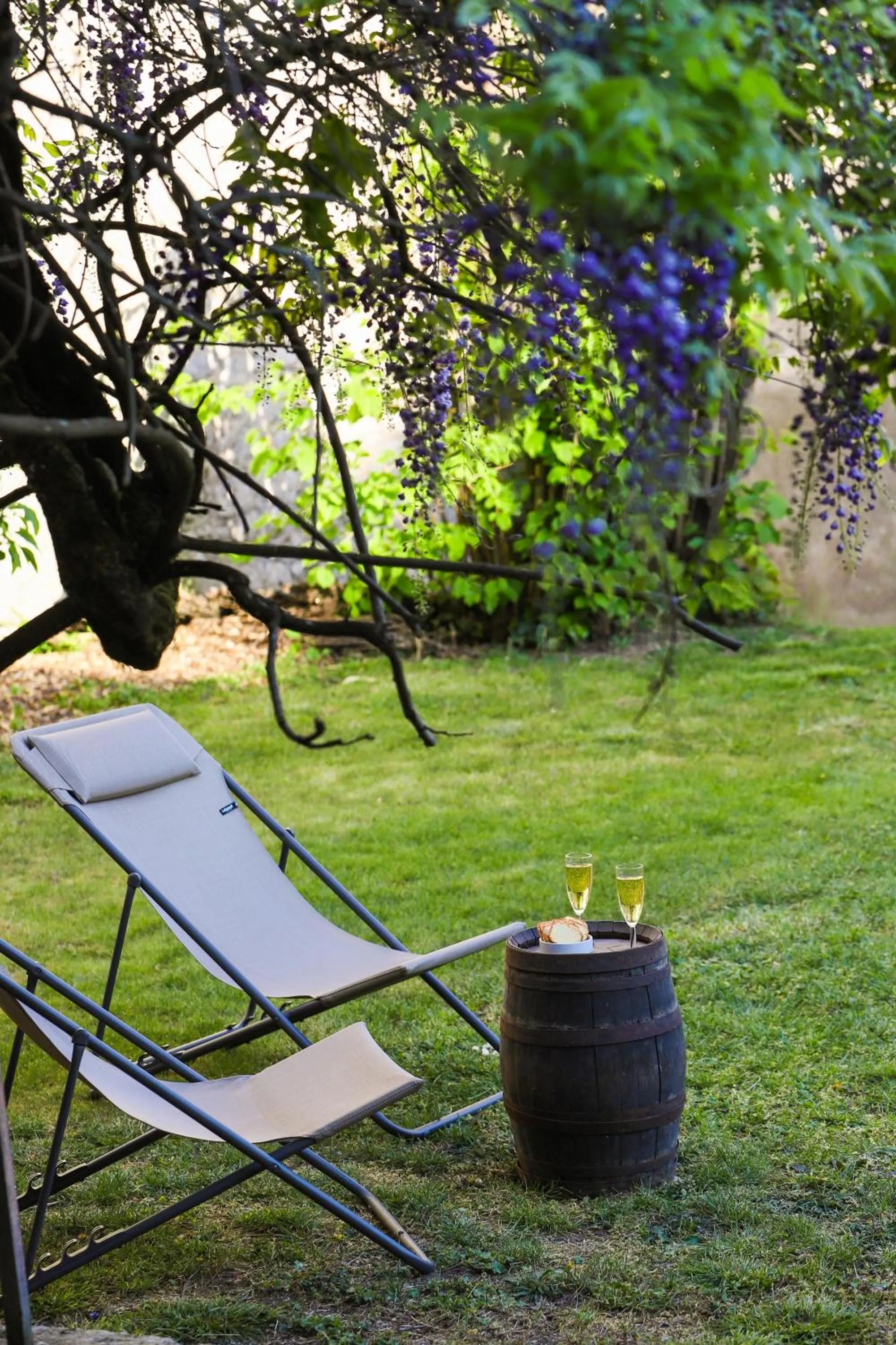 Garden in DEMEURE DES CORDELIERS avec parking privé