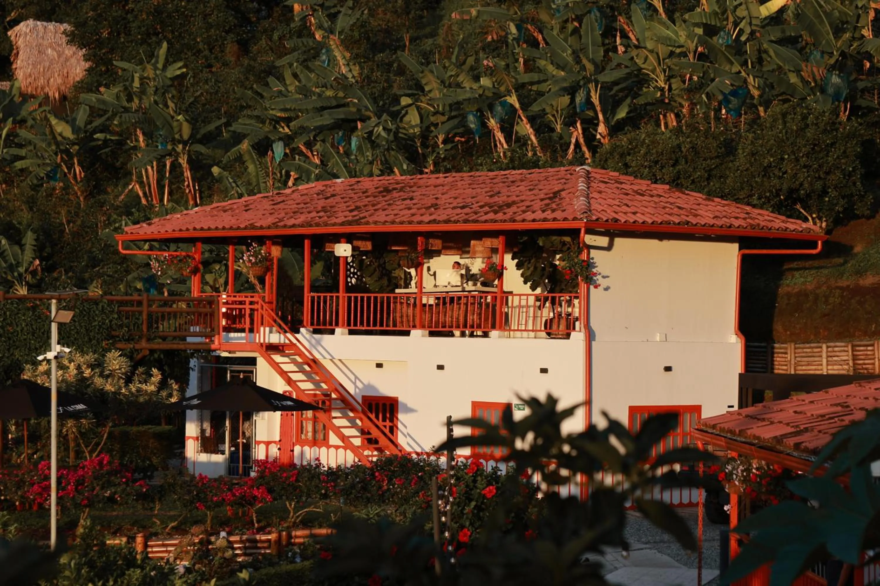 Restaurant/places to eat in La Cima Eco Hotel