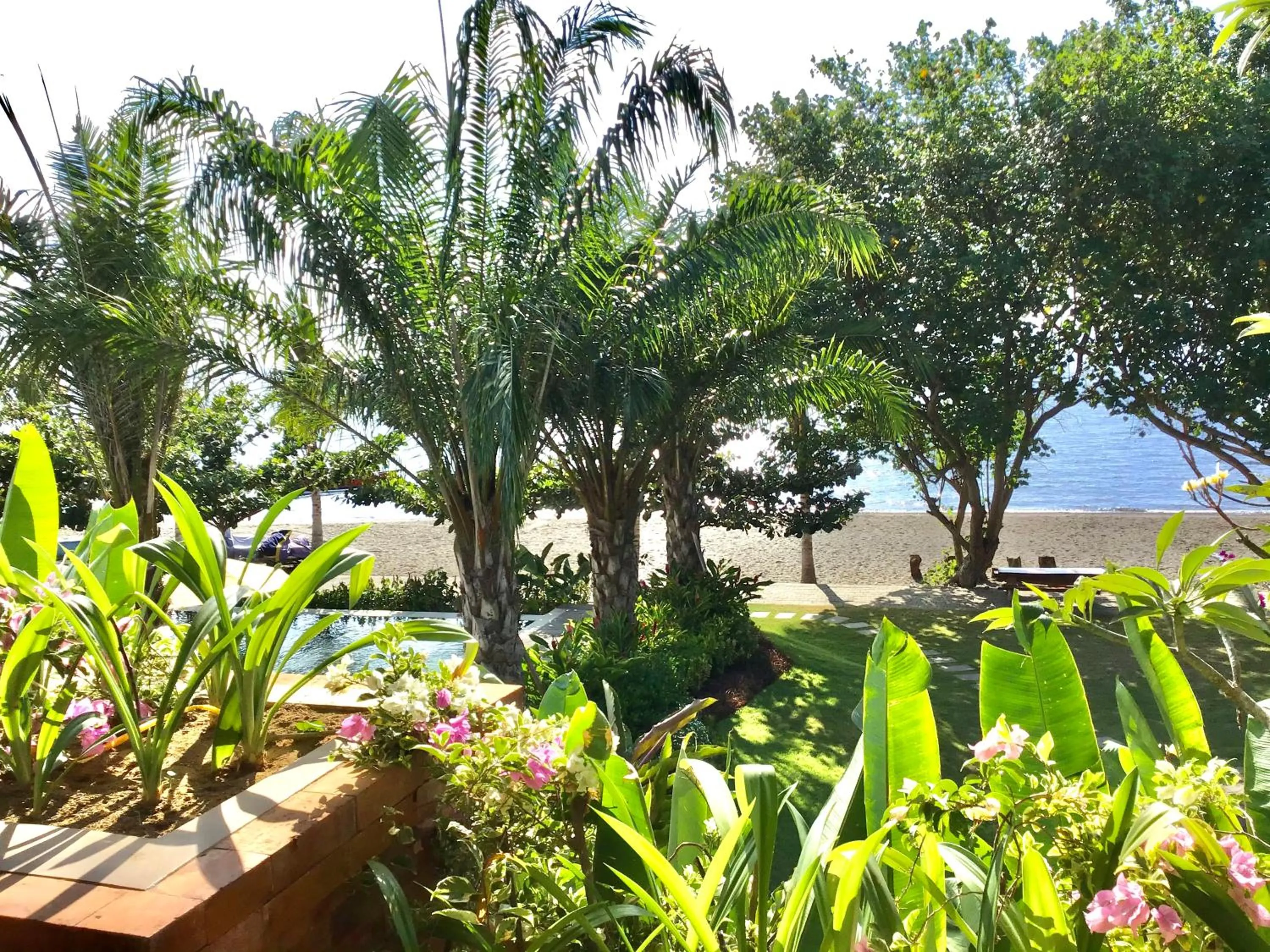 Garden in The Grand Villandra Resort Lovina