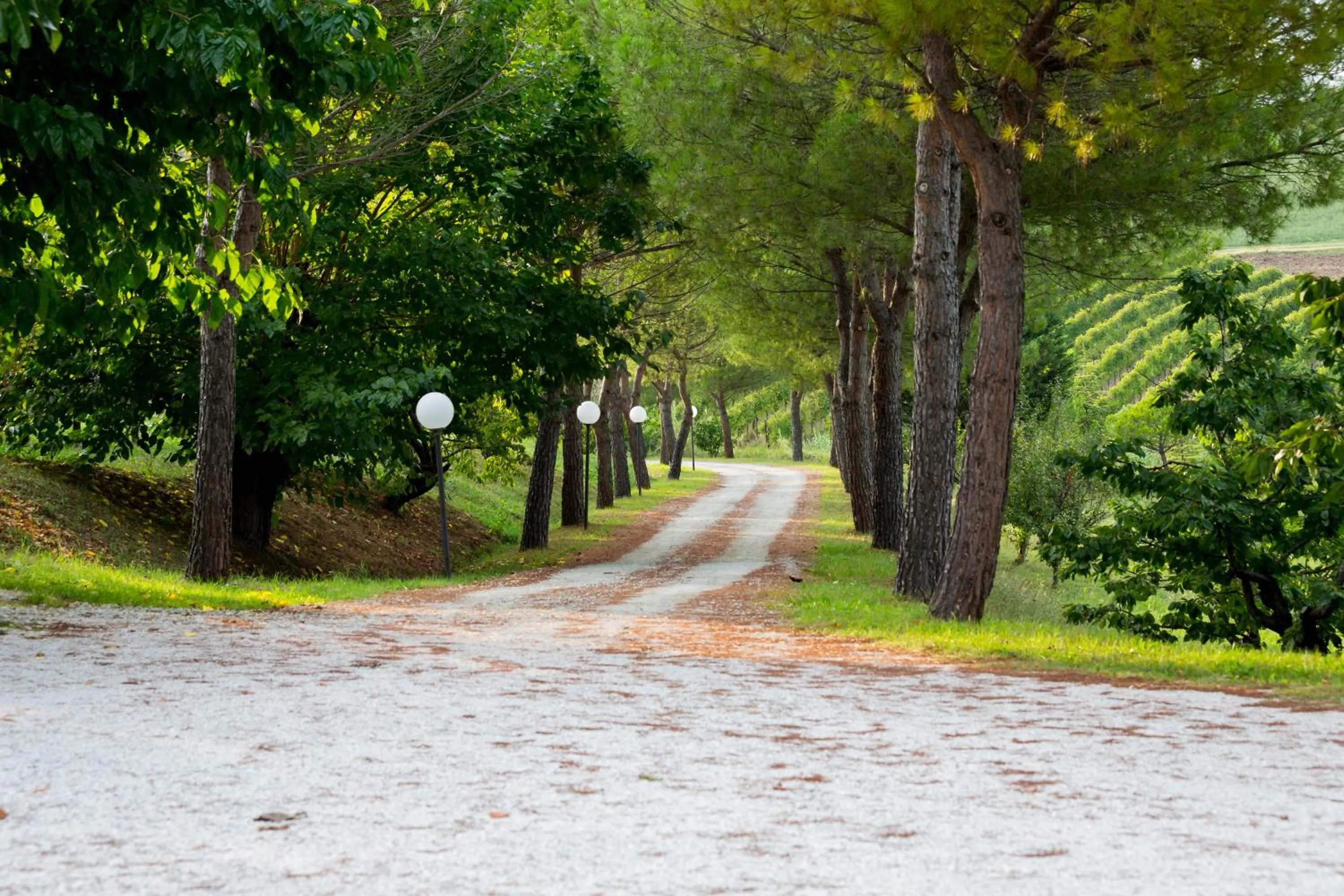 Facade/entrance in Villa Ca' Viola Rimini