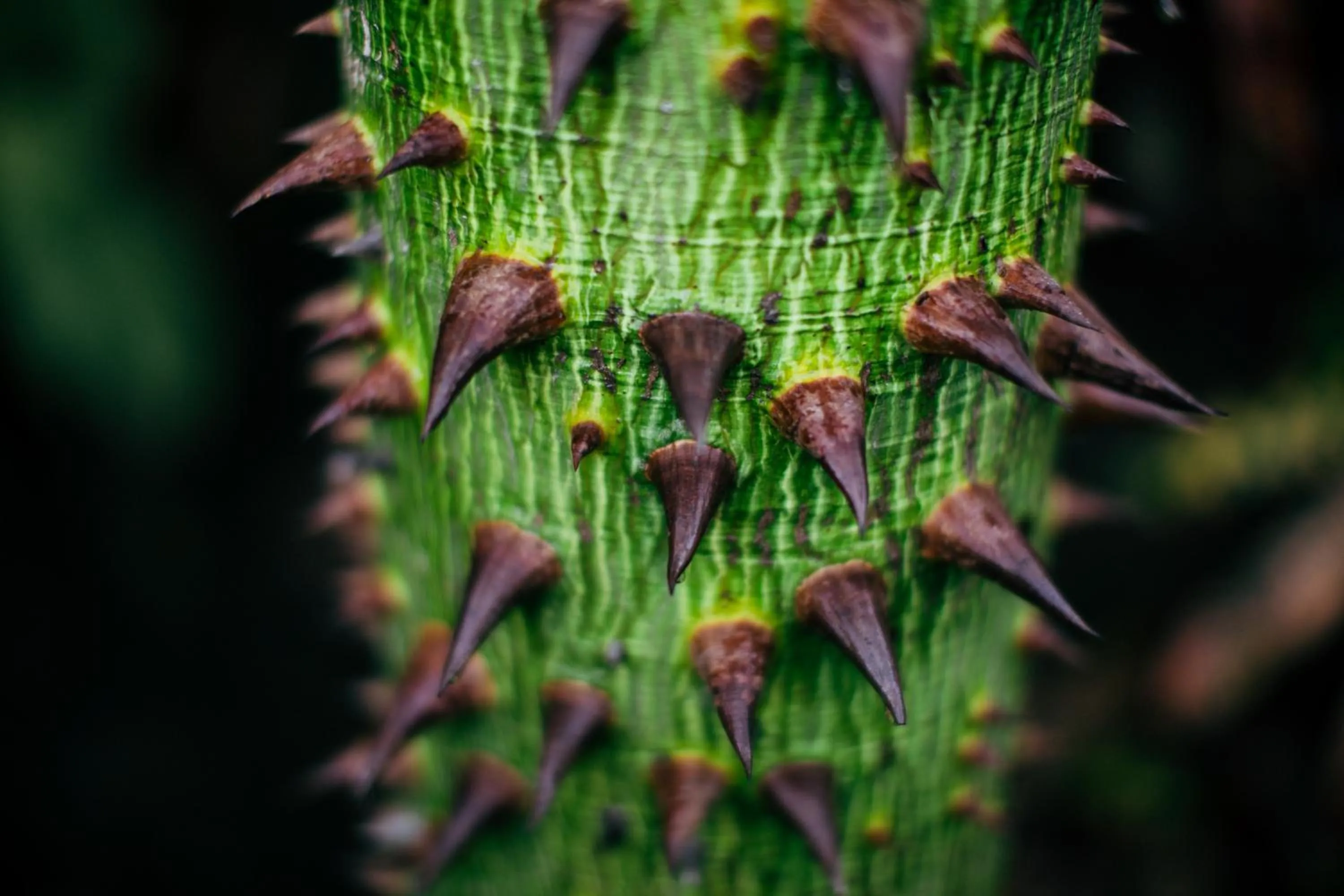 Property building in Mother Earth Luxury Boutique Hotel, Restaurant & Spa