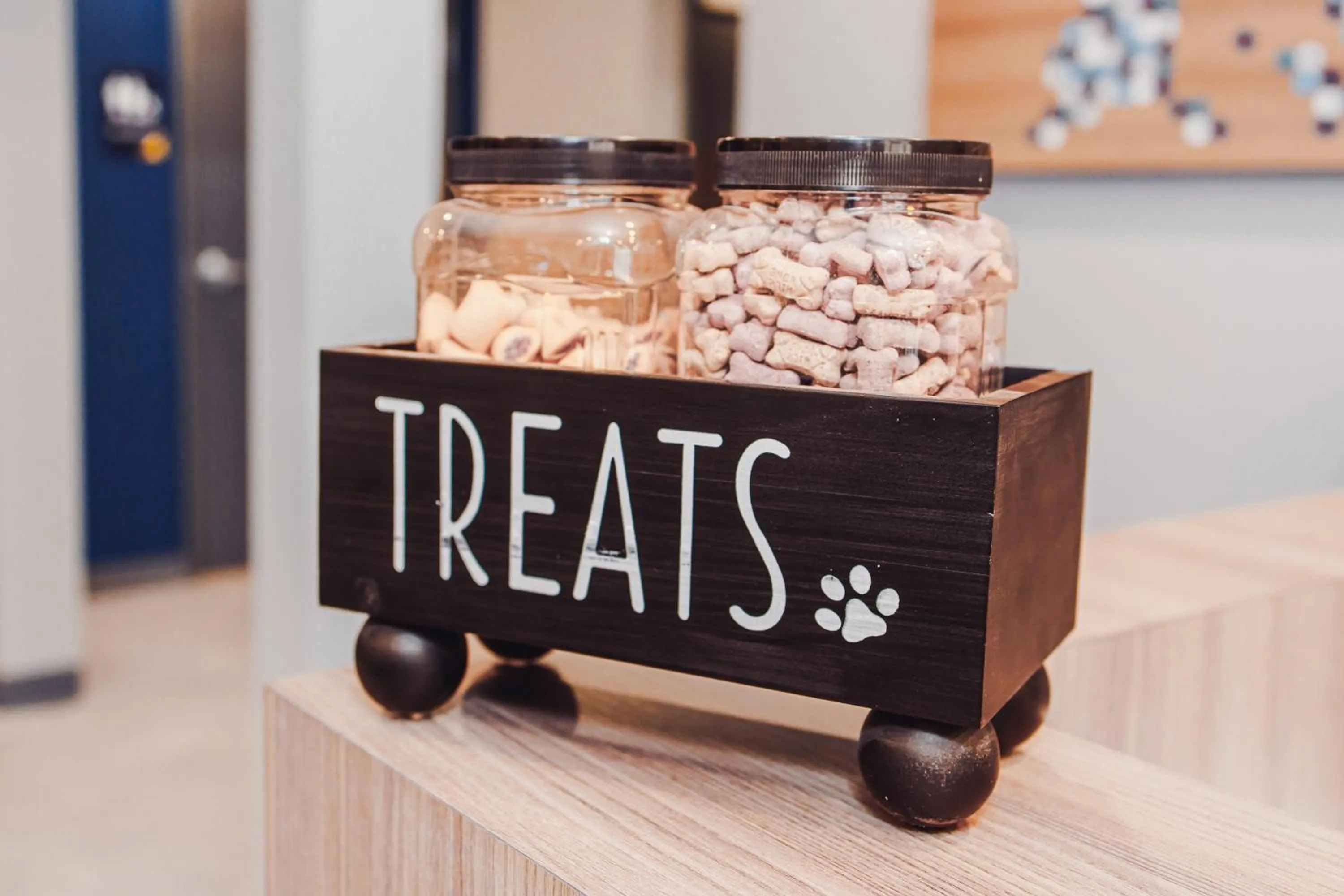 Pets in Microtel Inn & Suites Springville