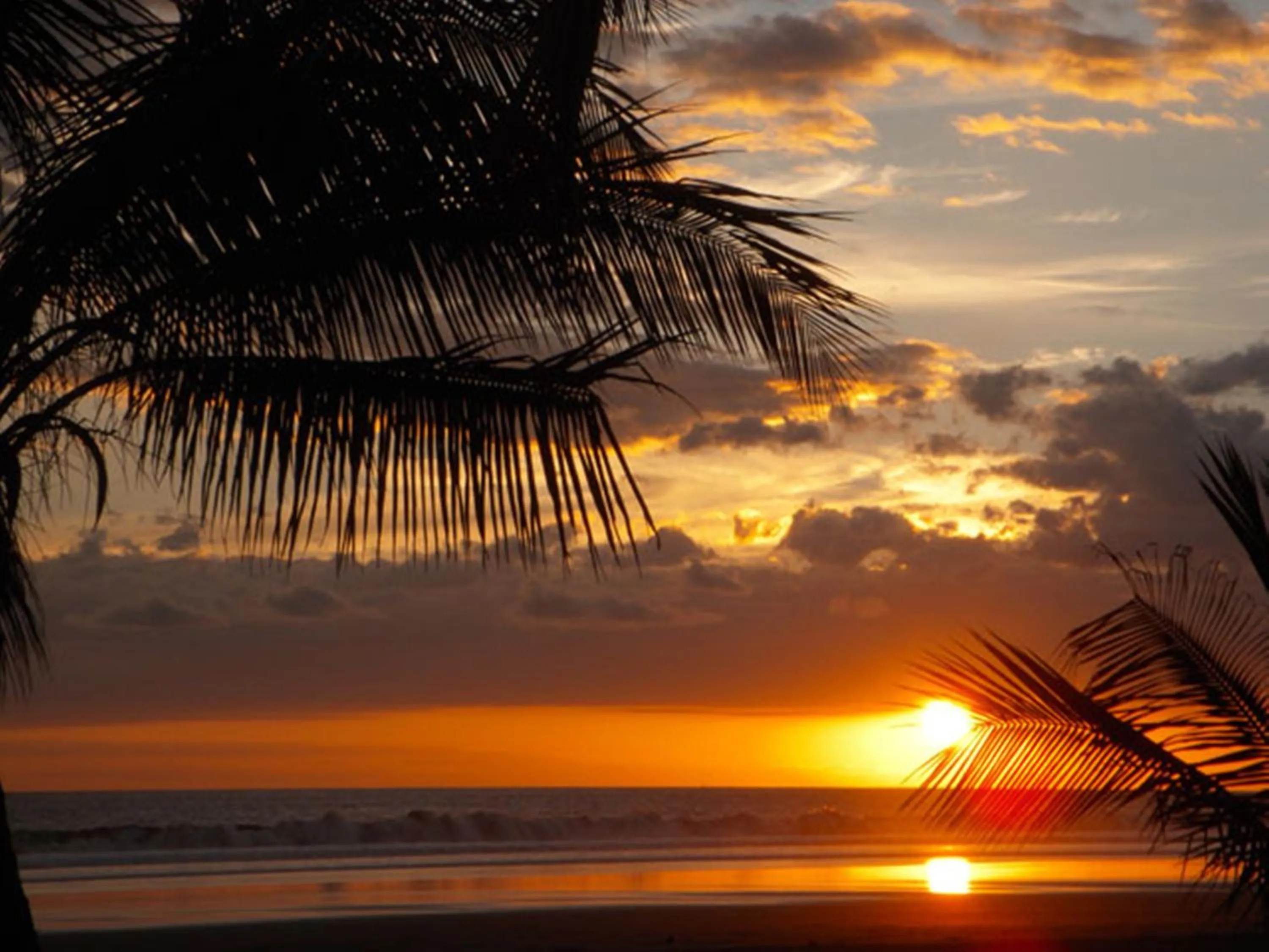 Area and facilities in Hotel Playa Bejuco