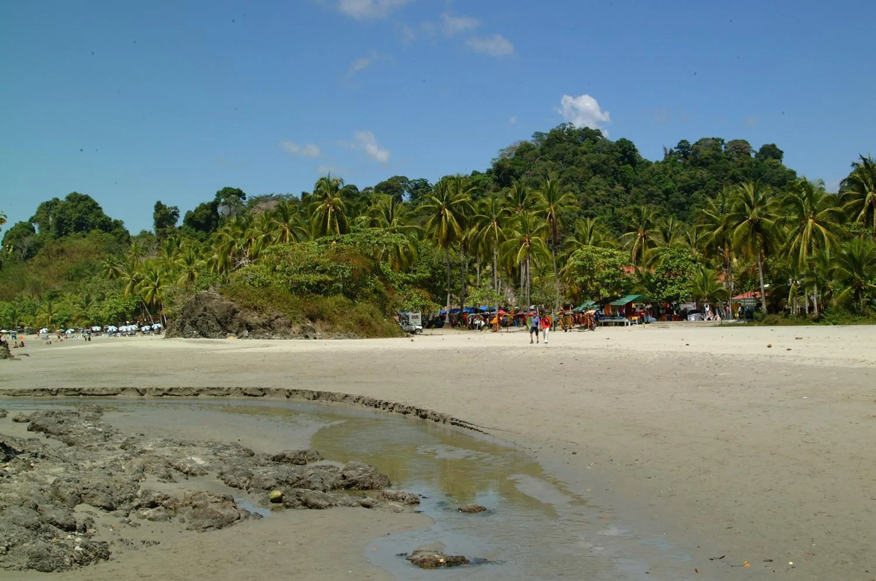 Natural landscape in Hotel Coco Beach