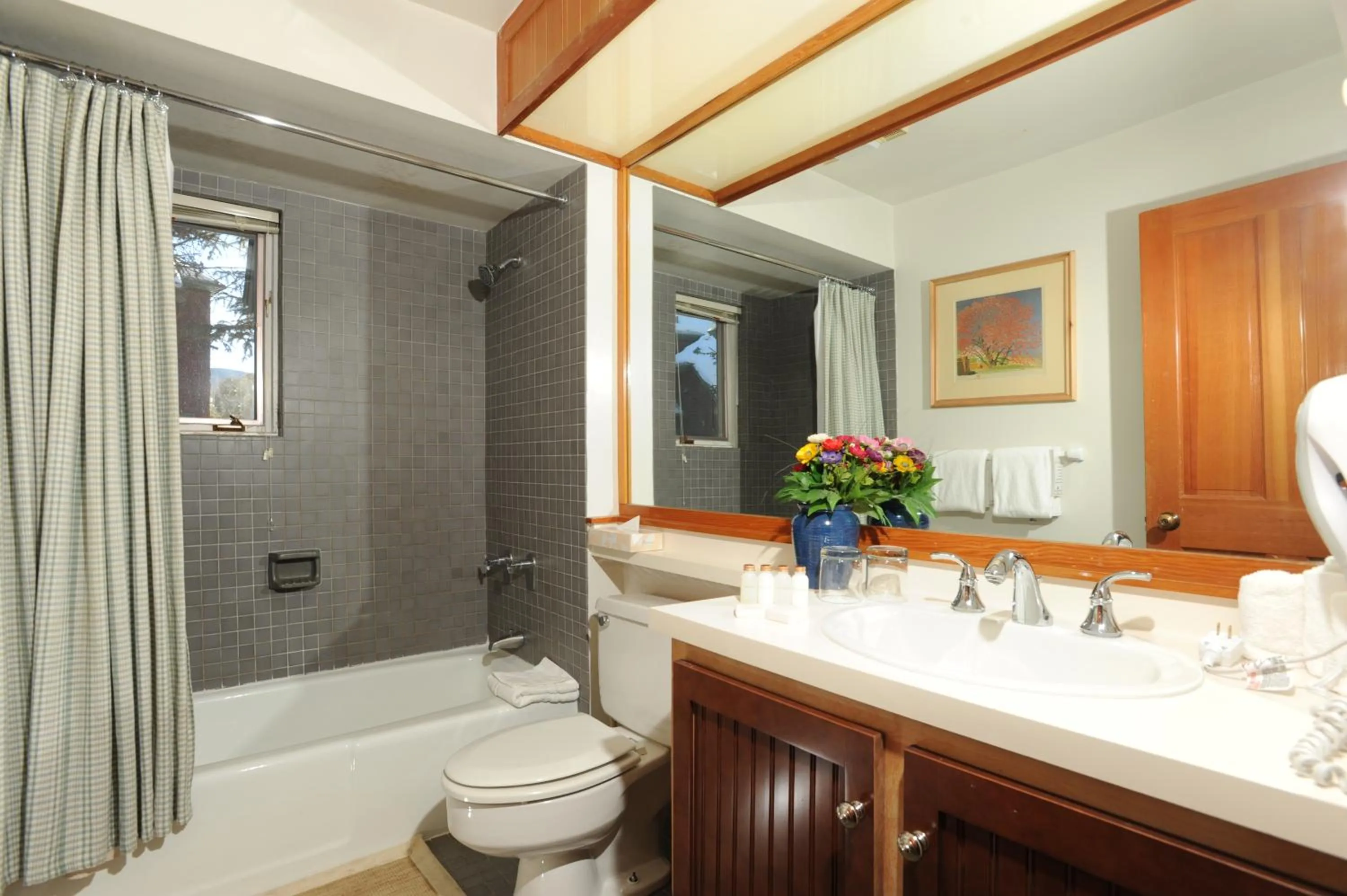 The Forest Neighborhood by Keystone Resort