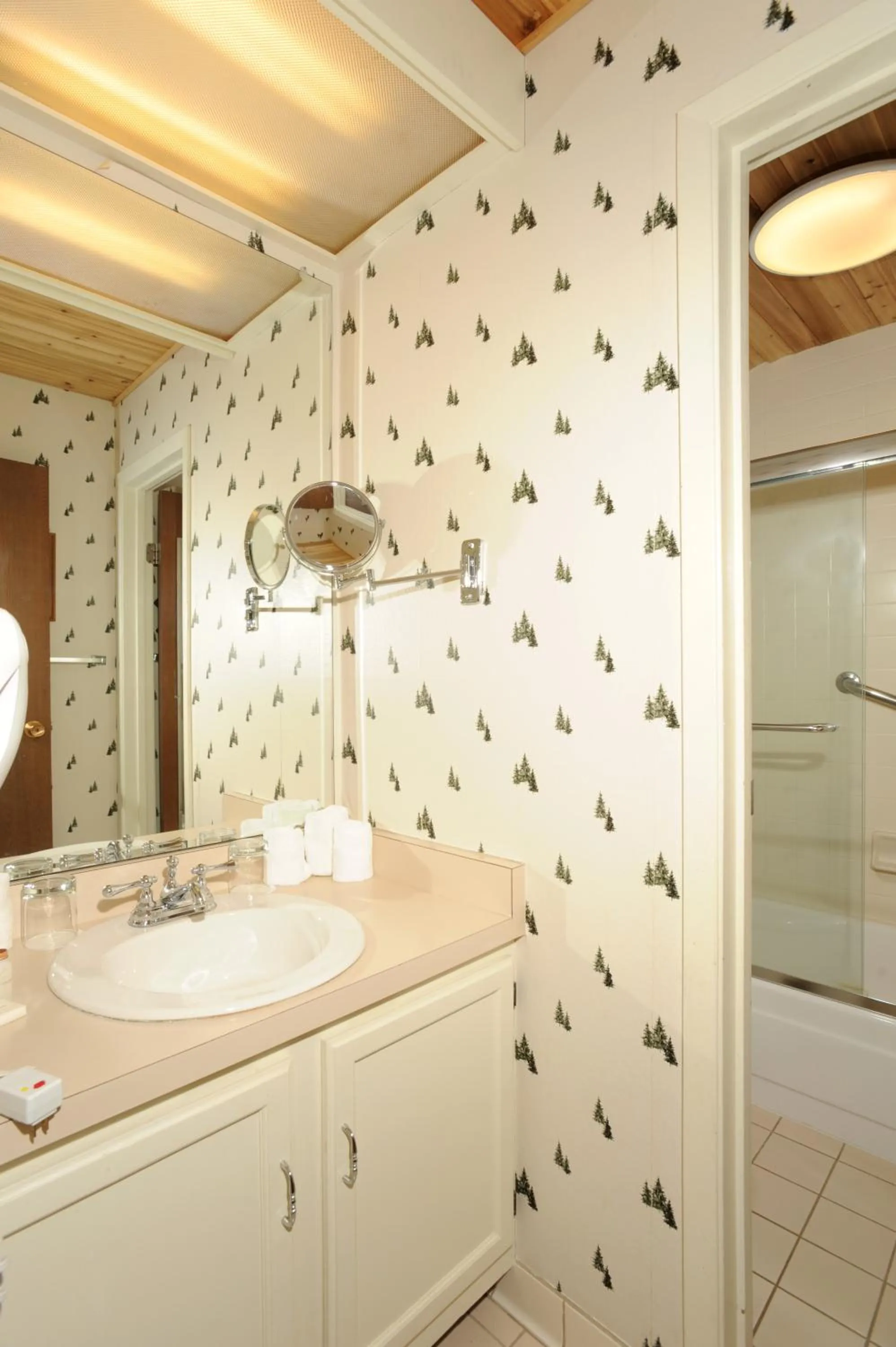 The Forest Neighborhood by Keystone Resort