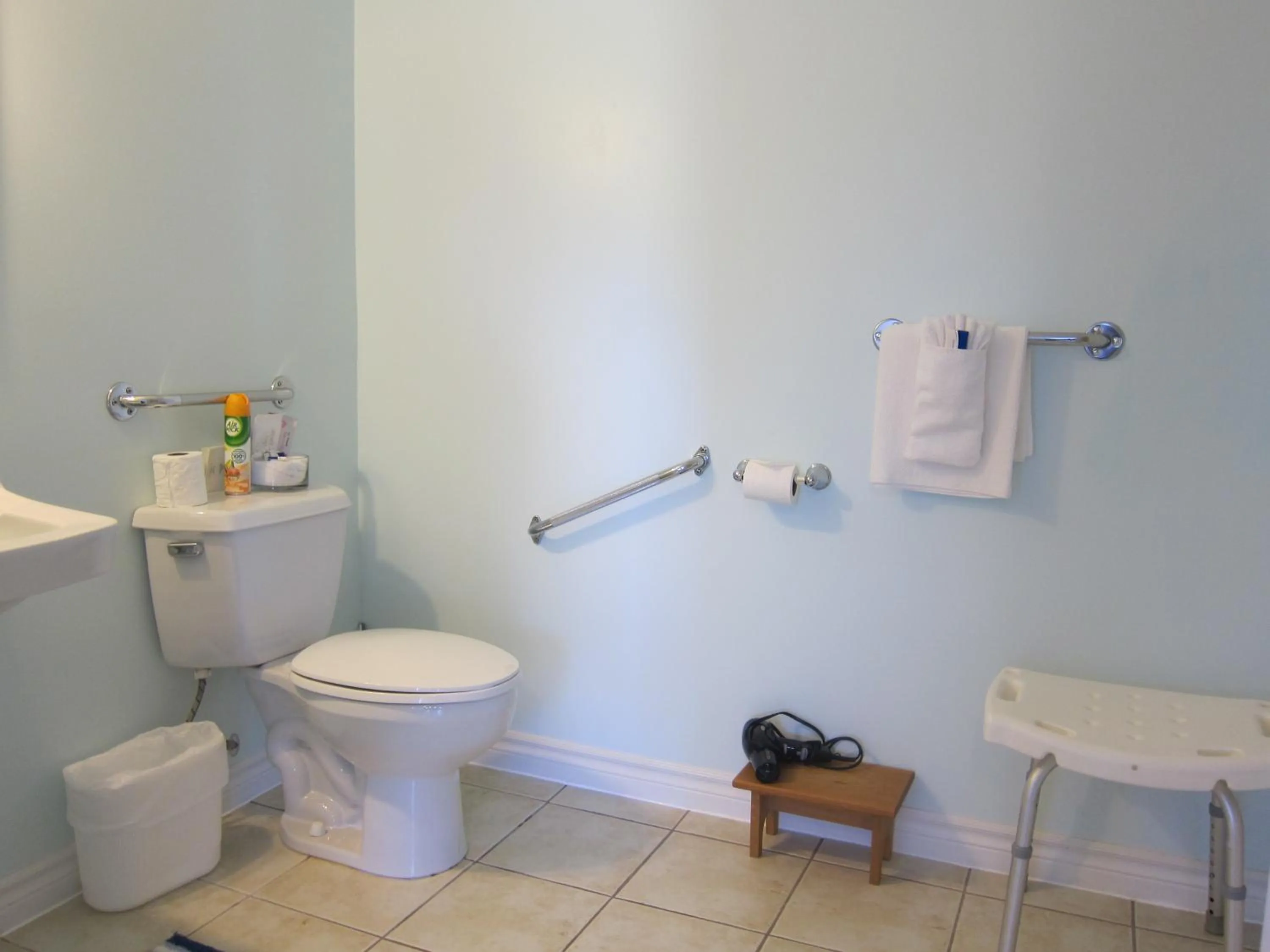 Toilet in Auld Farm Inn B&B