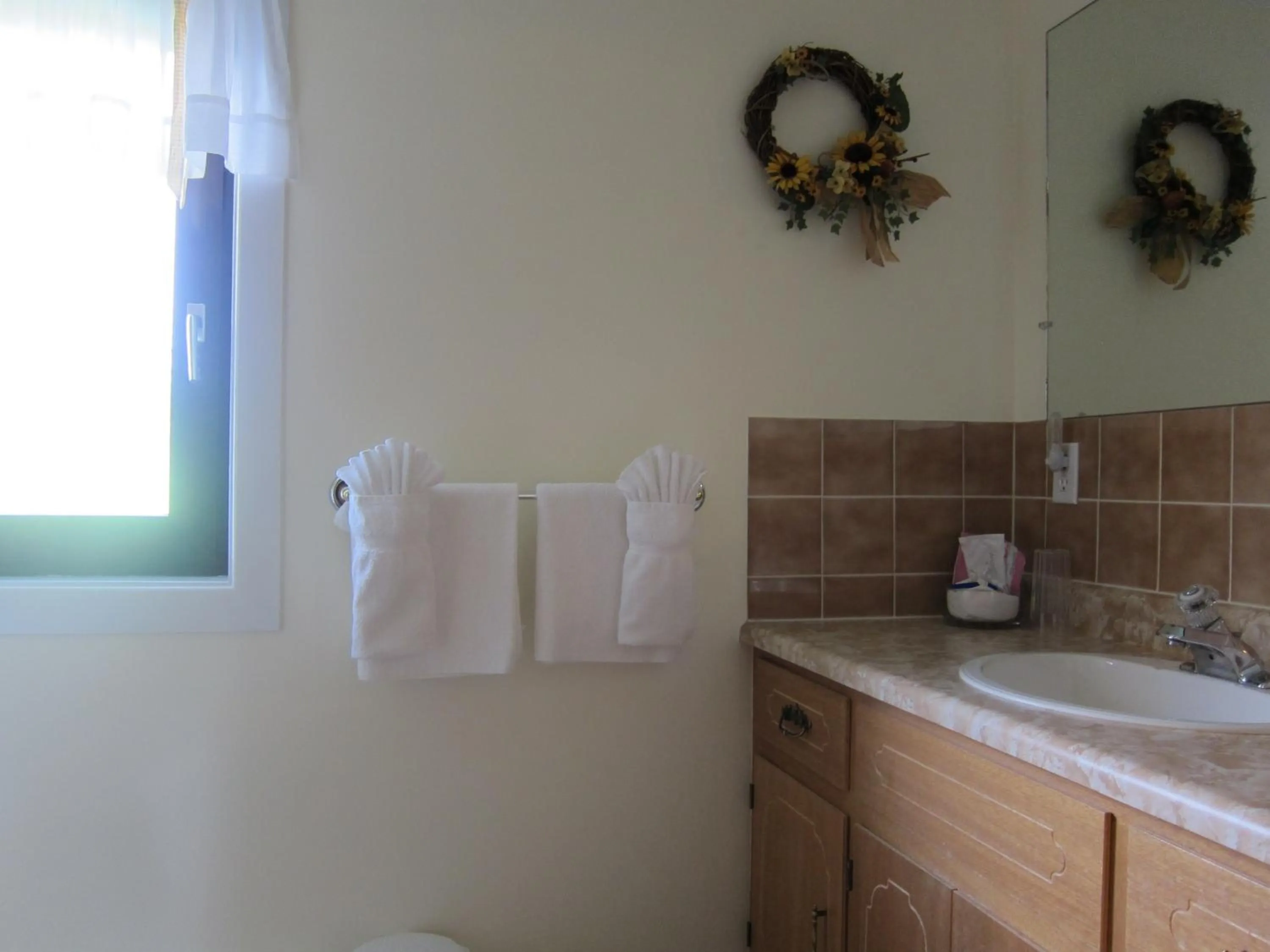 Bathroom in Auld Farm Inn B&B