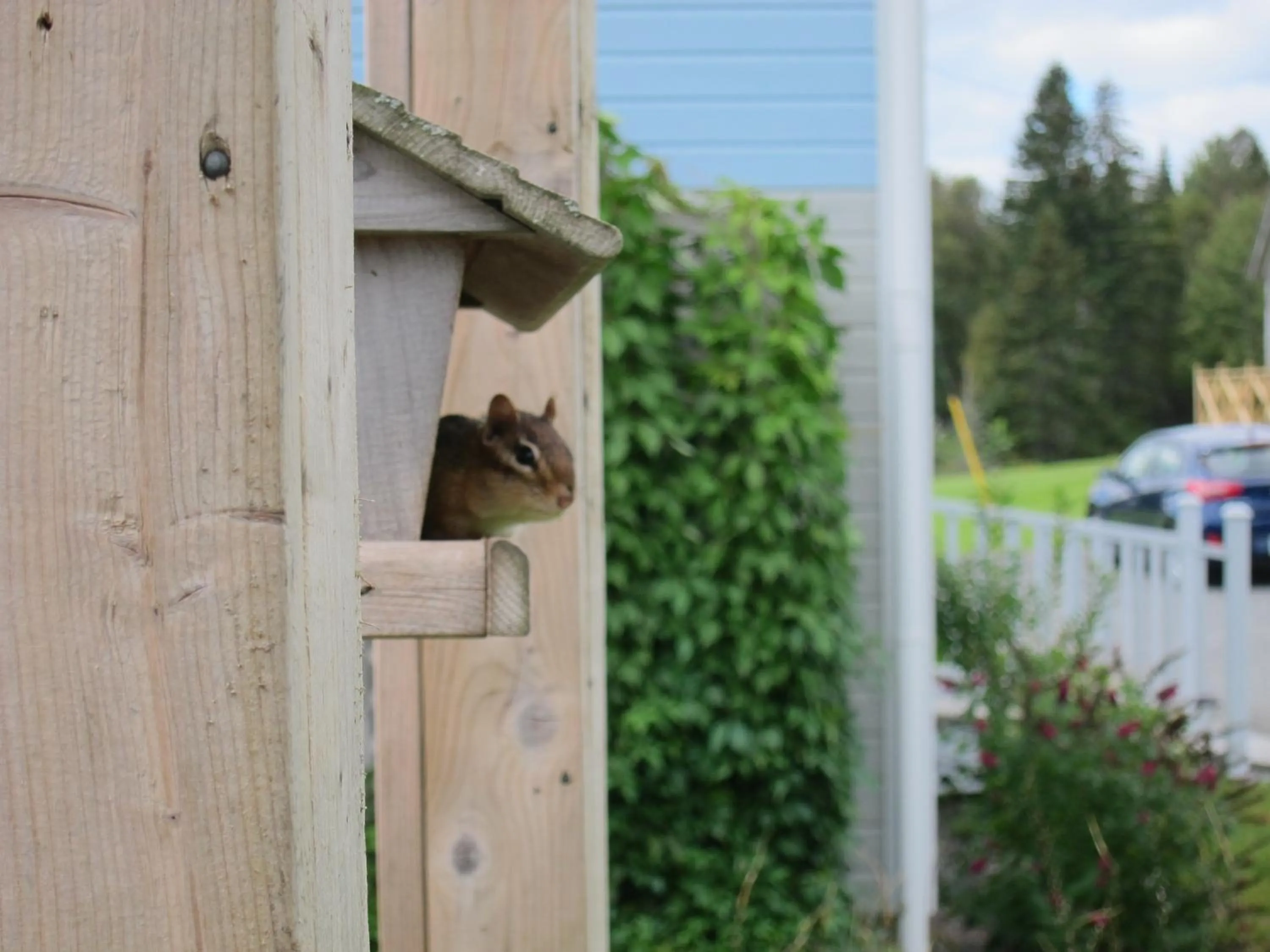 Day in Auld Farm Inn B&B