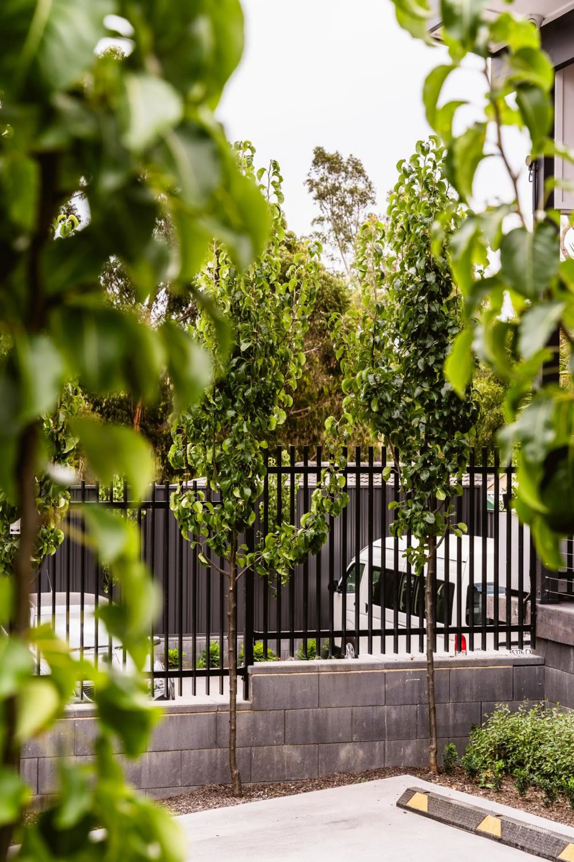 Parking in Aberdeen Lane