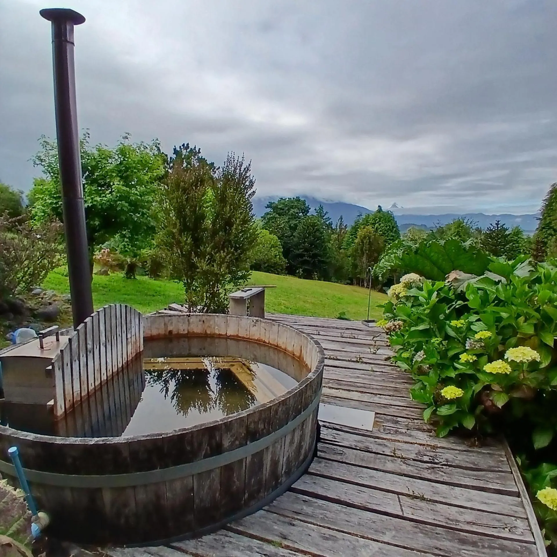 Garden in Hotel Mi Casa