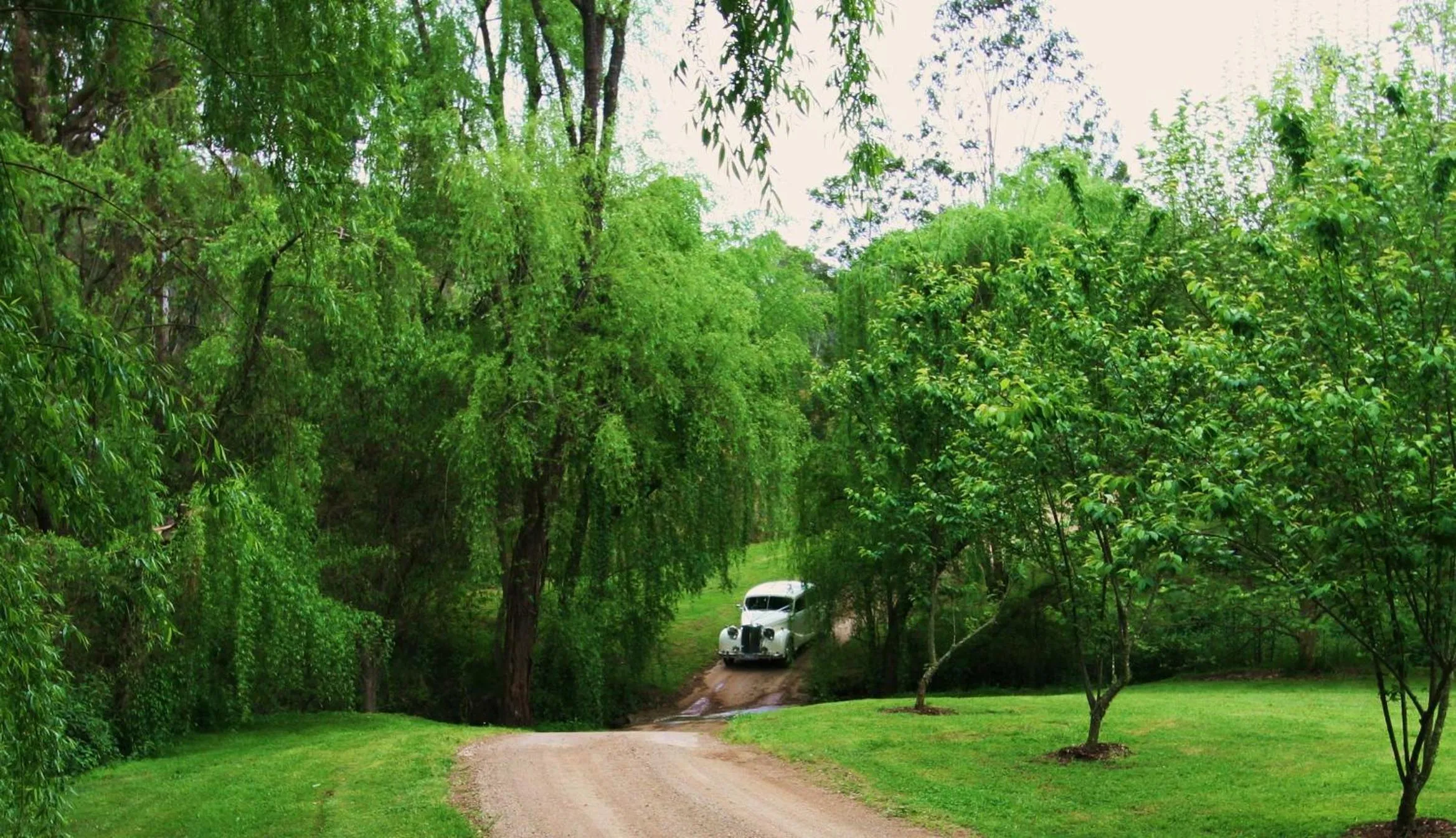 Day in Cedars Mount View (Adults Only)