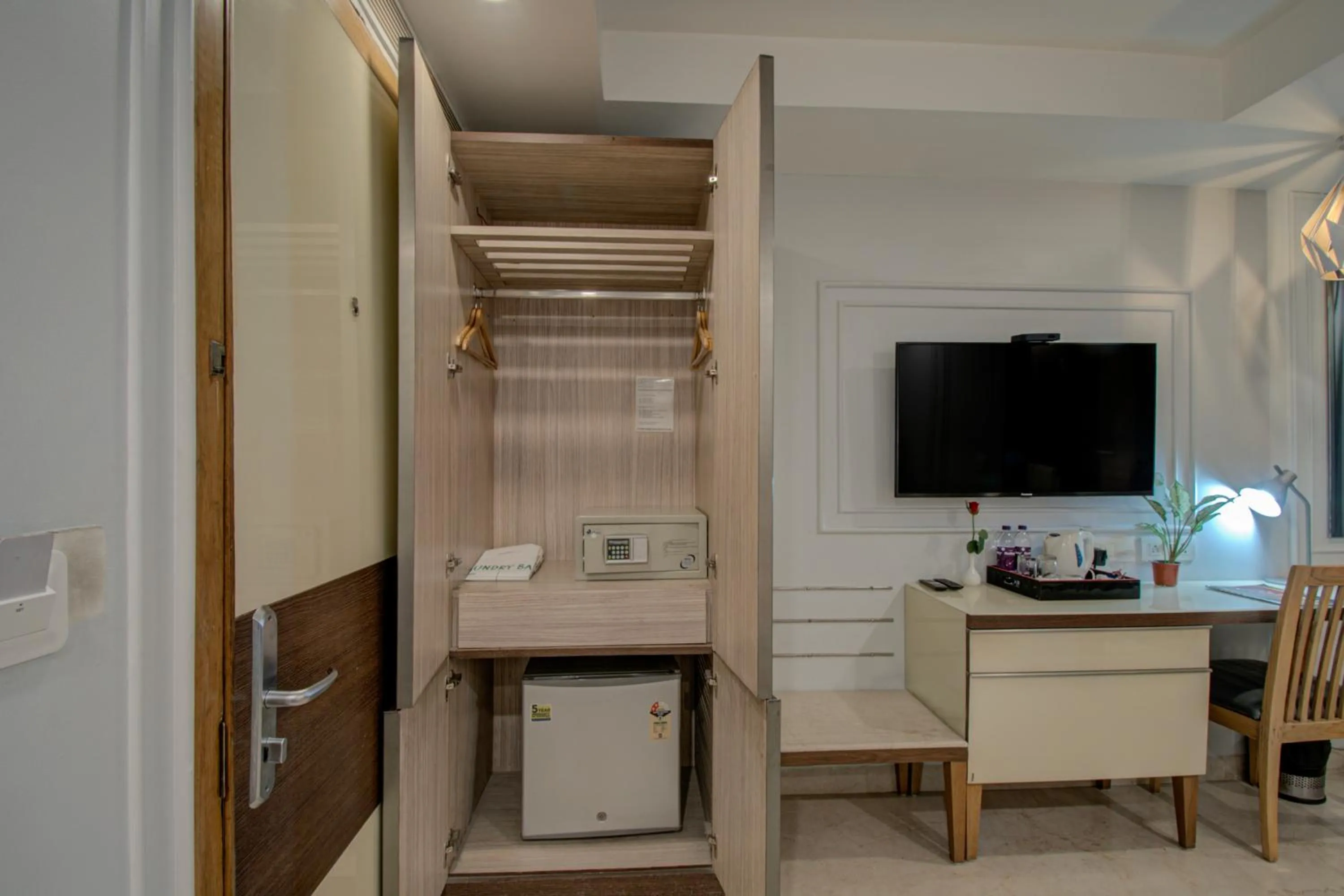 TV and multimedia in Iris Park Hotel New Delhi