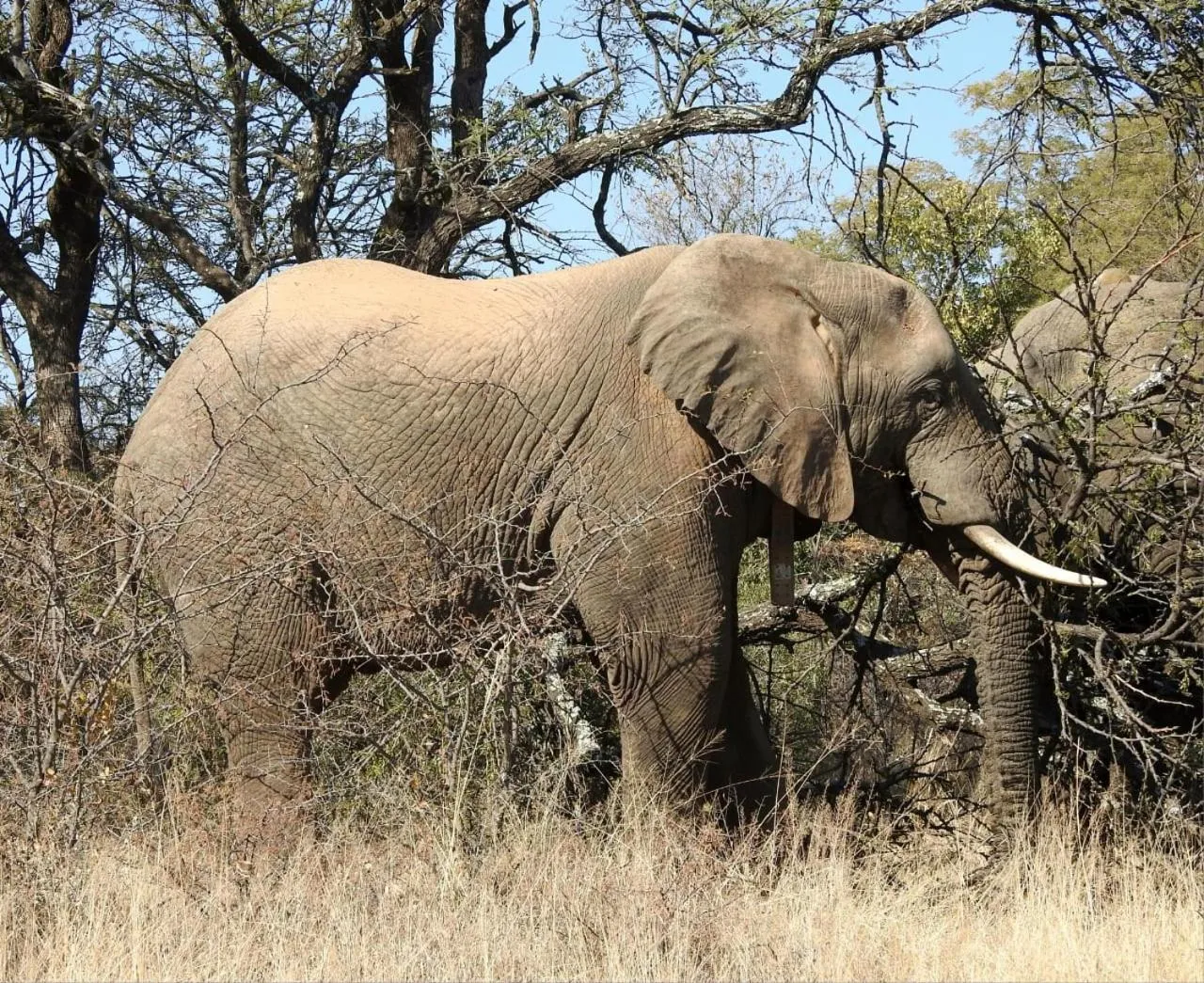 Activities in Kwalata Game Lodge