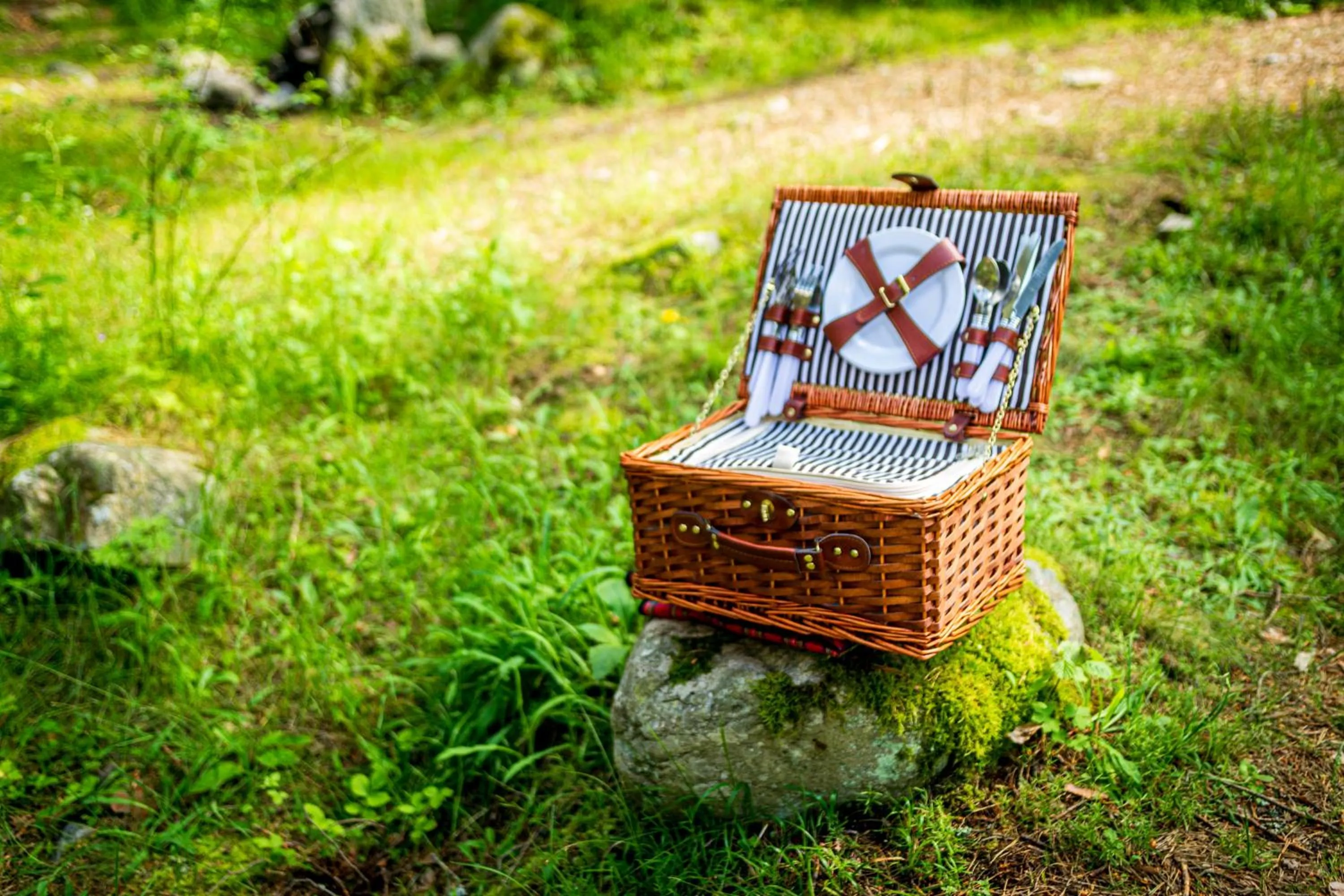 Natural landscape in Hotel COTA1110