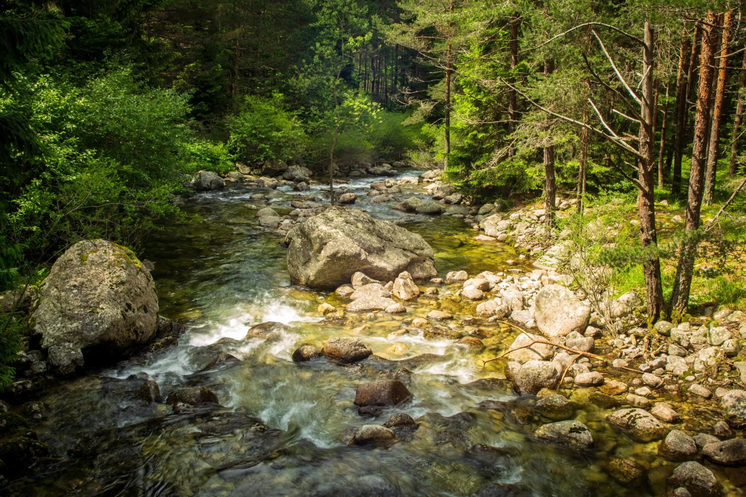 Natural landscape in Hotel COTA1110