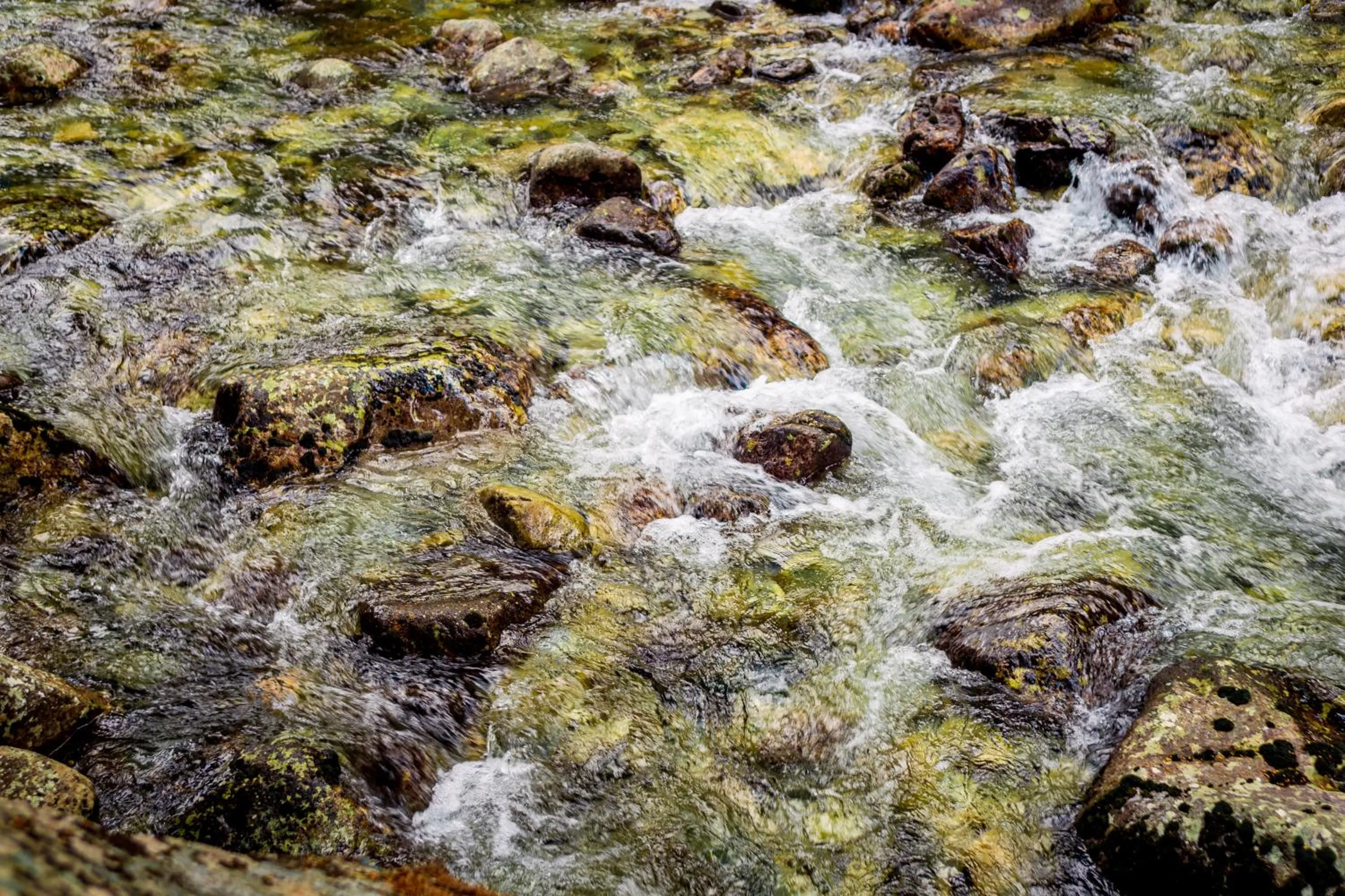 Natural landscape in Hotel COTA1110