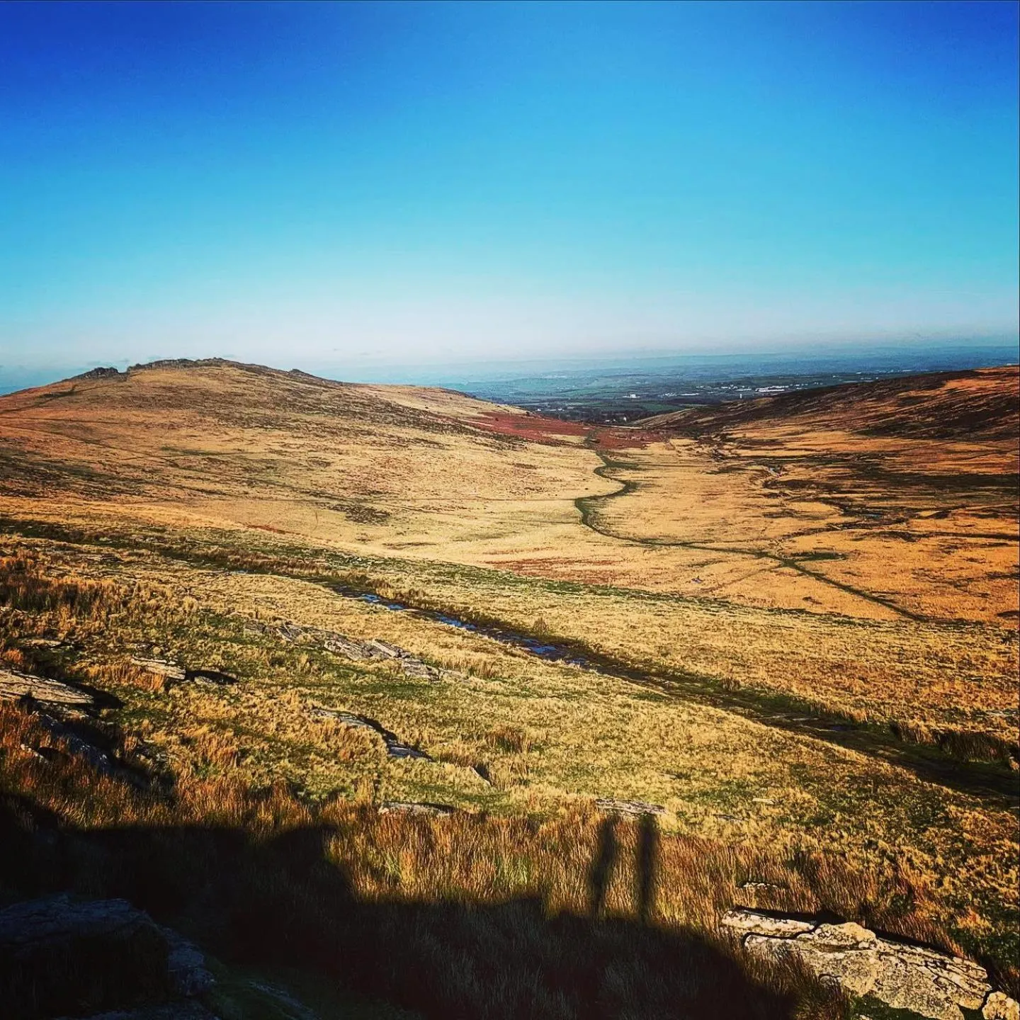 Neighbourhood in The Tors