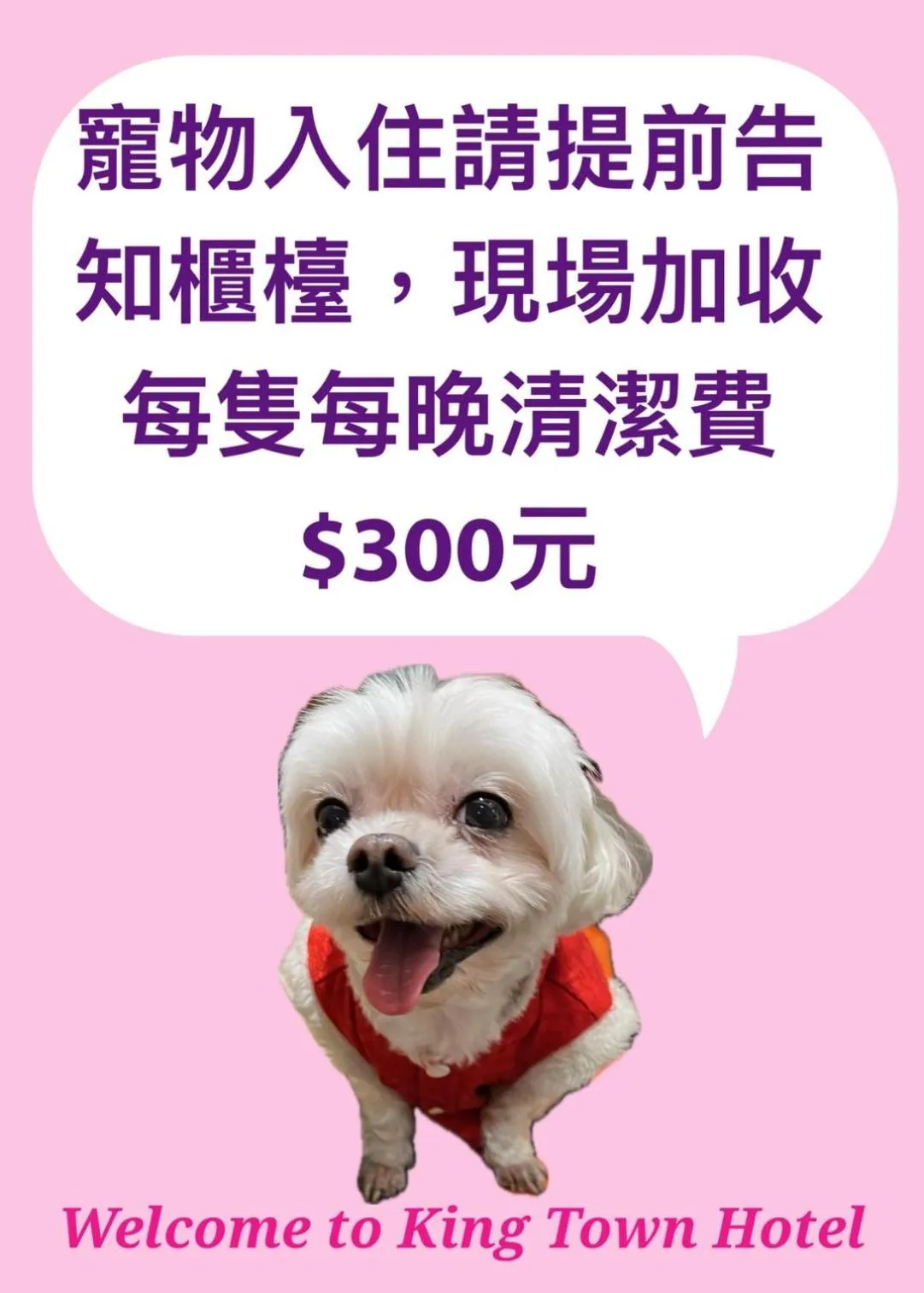 Animals in King Town Hotel