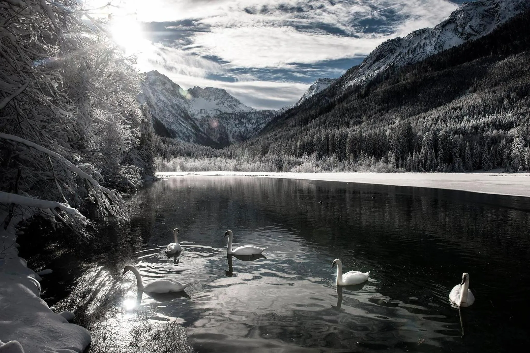 Natural landscape in Hotel LÄRCHENHOF