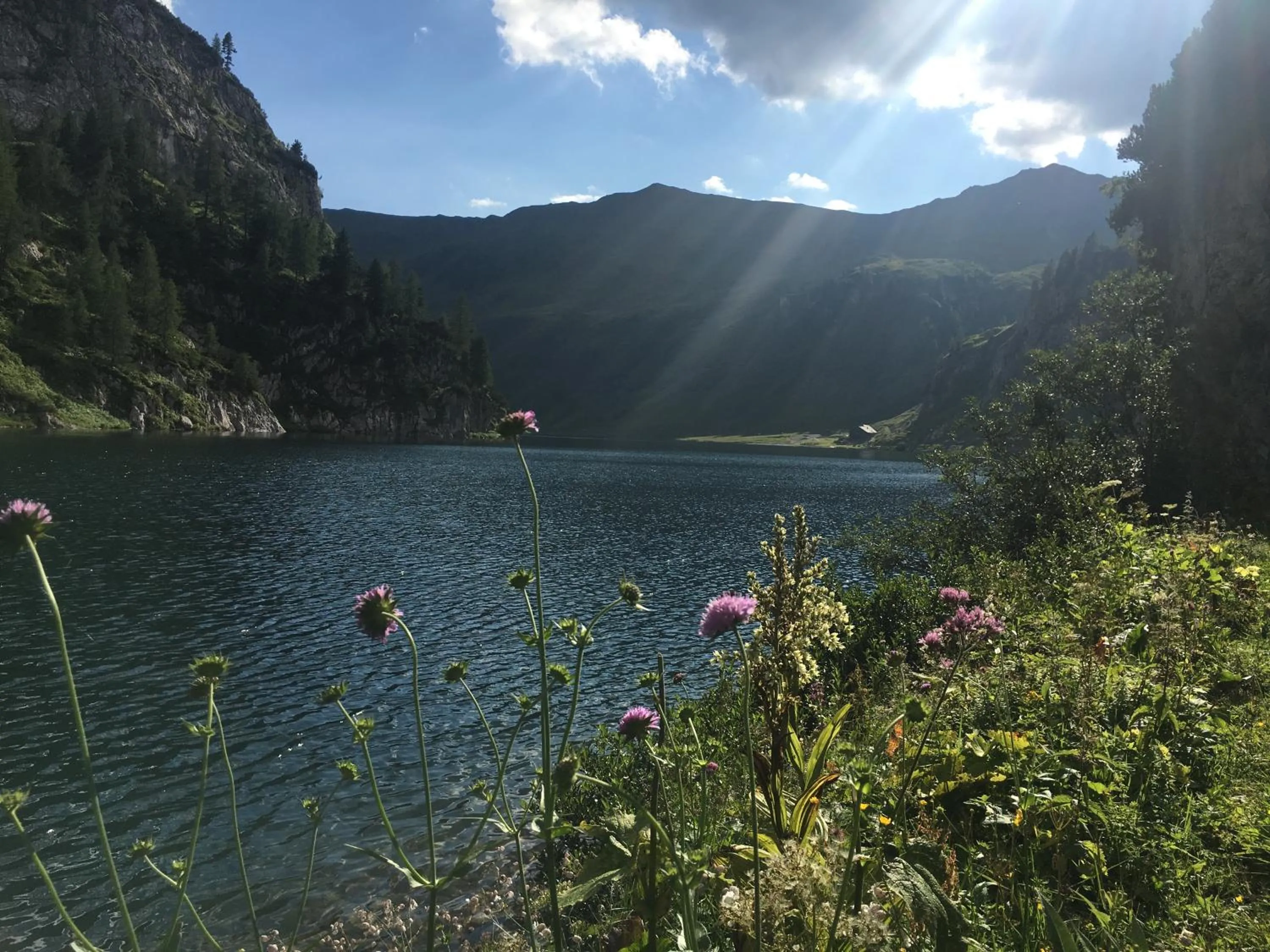 Hiking in Hotel LÄRCHENHOF