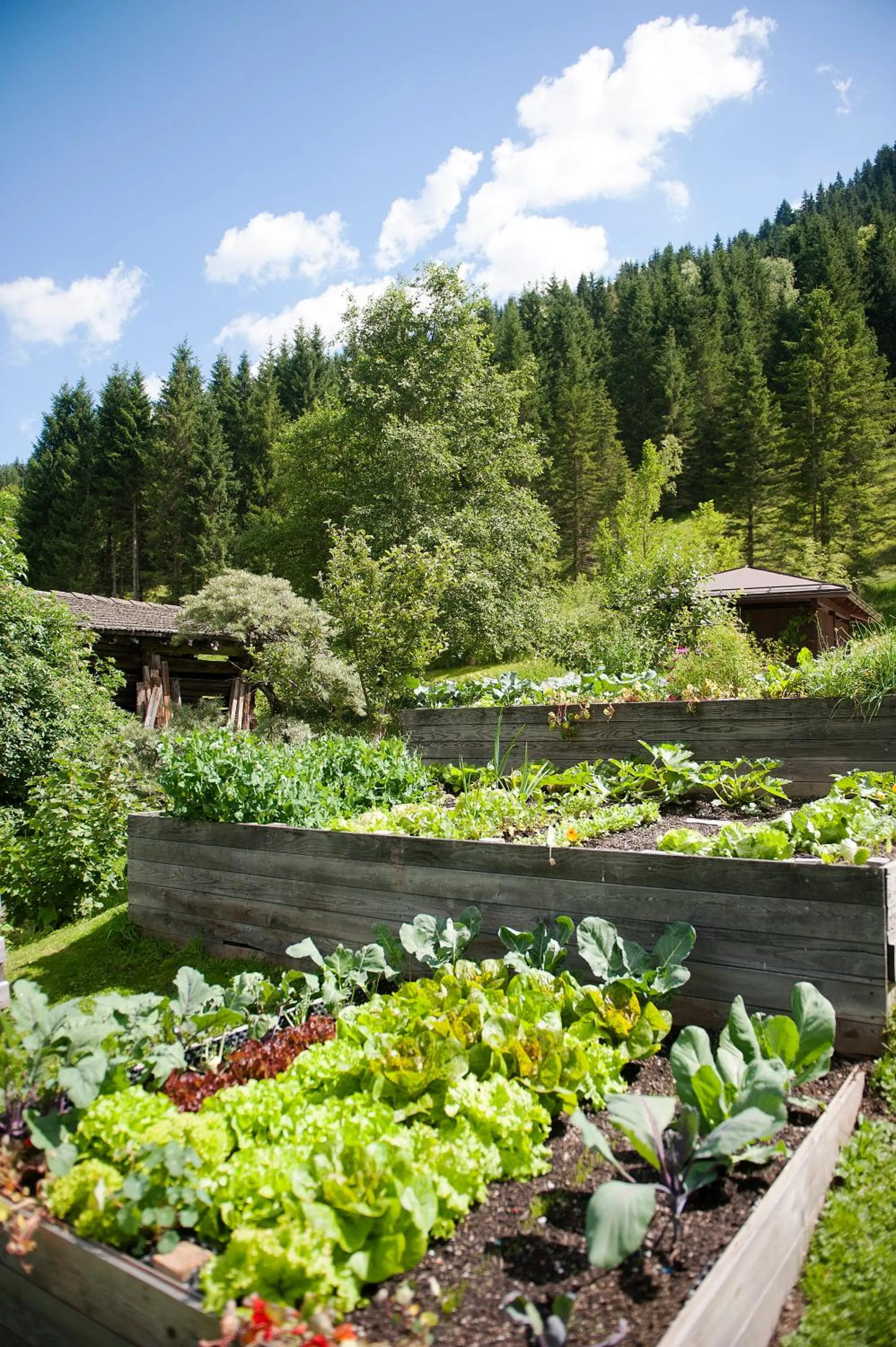 Garden in Hotel LÄRCHENHOF