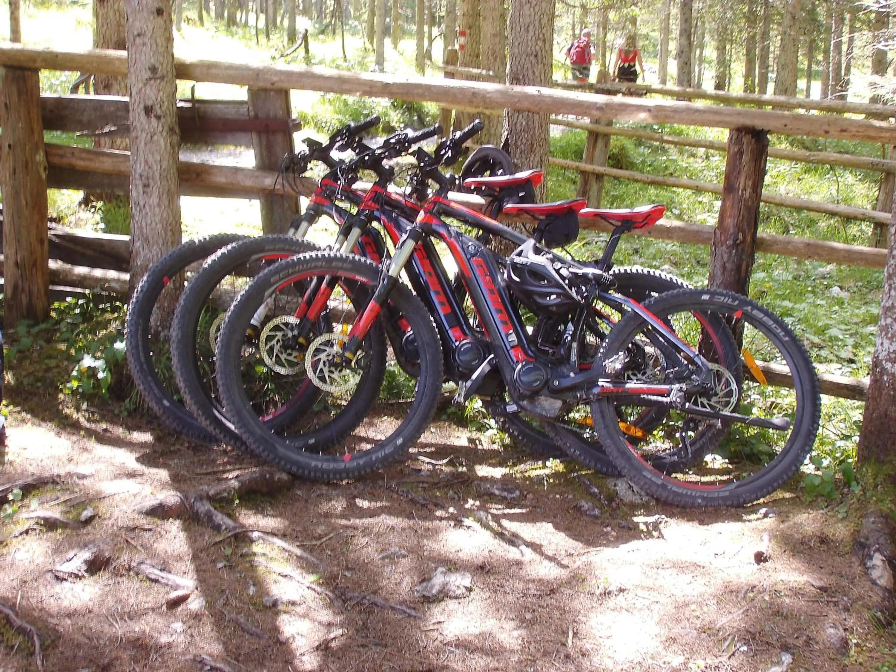 Cycling in Hotel LÄRCHENHOF