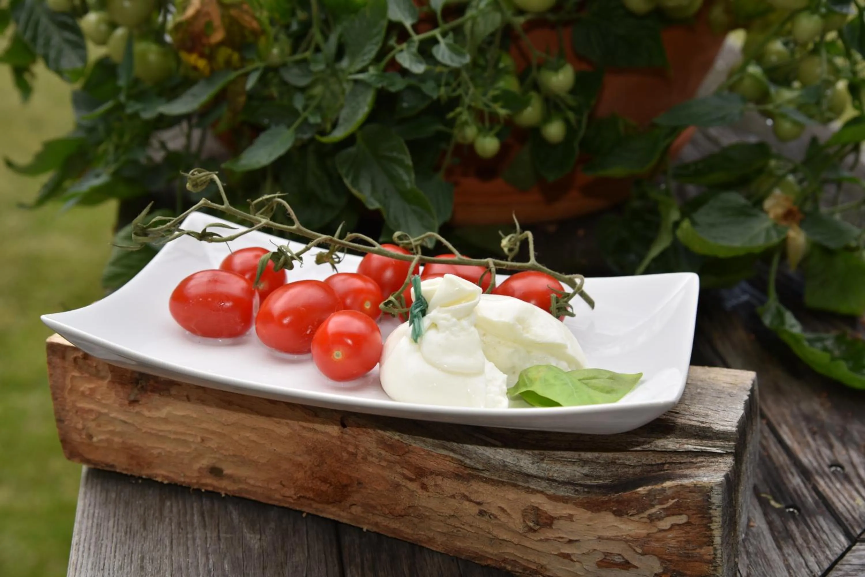 Food close-up in Hotel LÄRCHENHOF