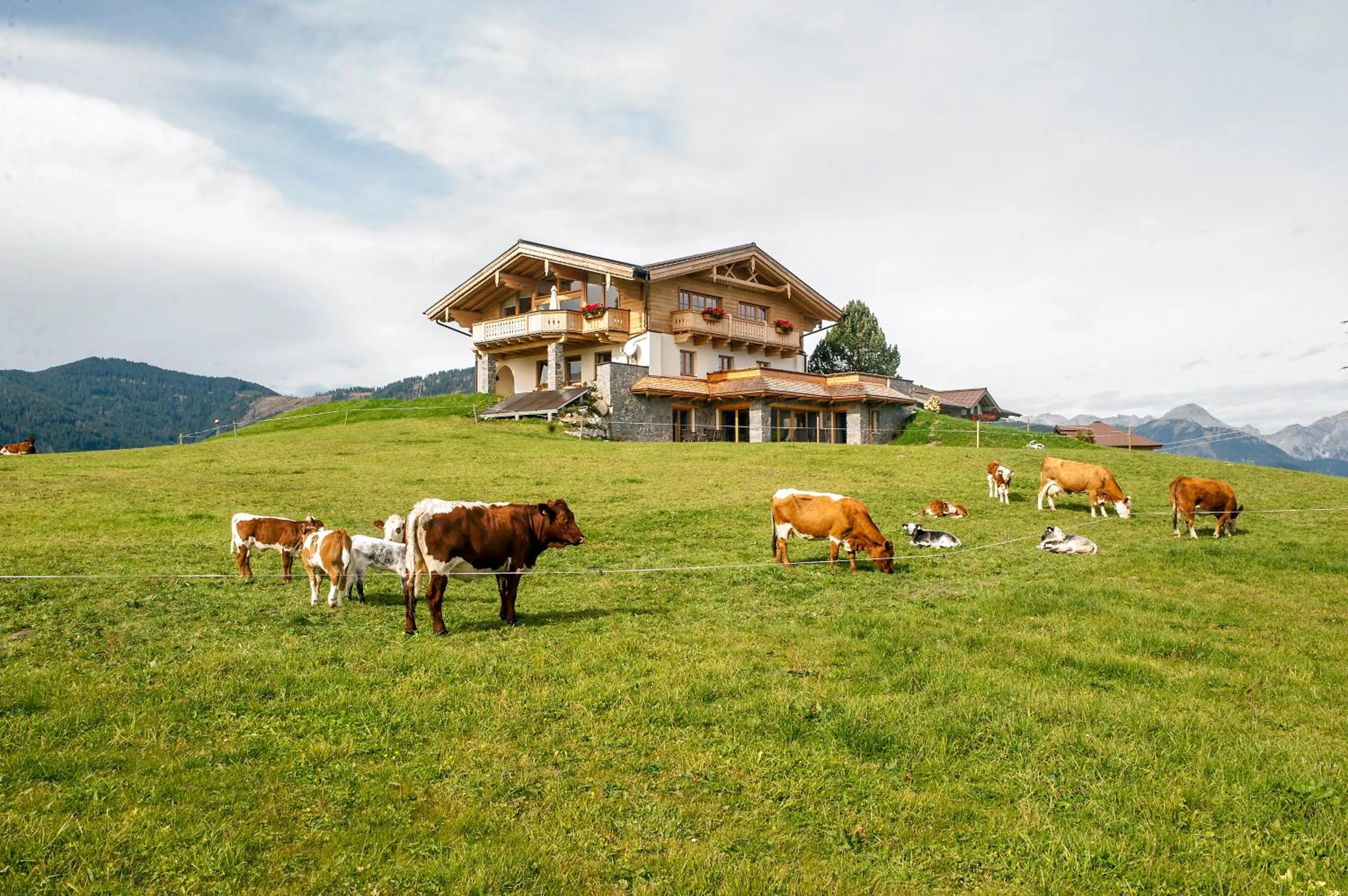 On site in Hotel Winterbauer