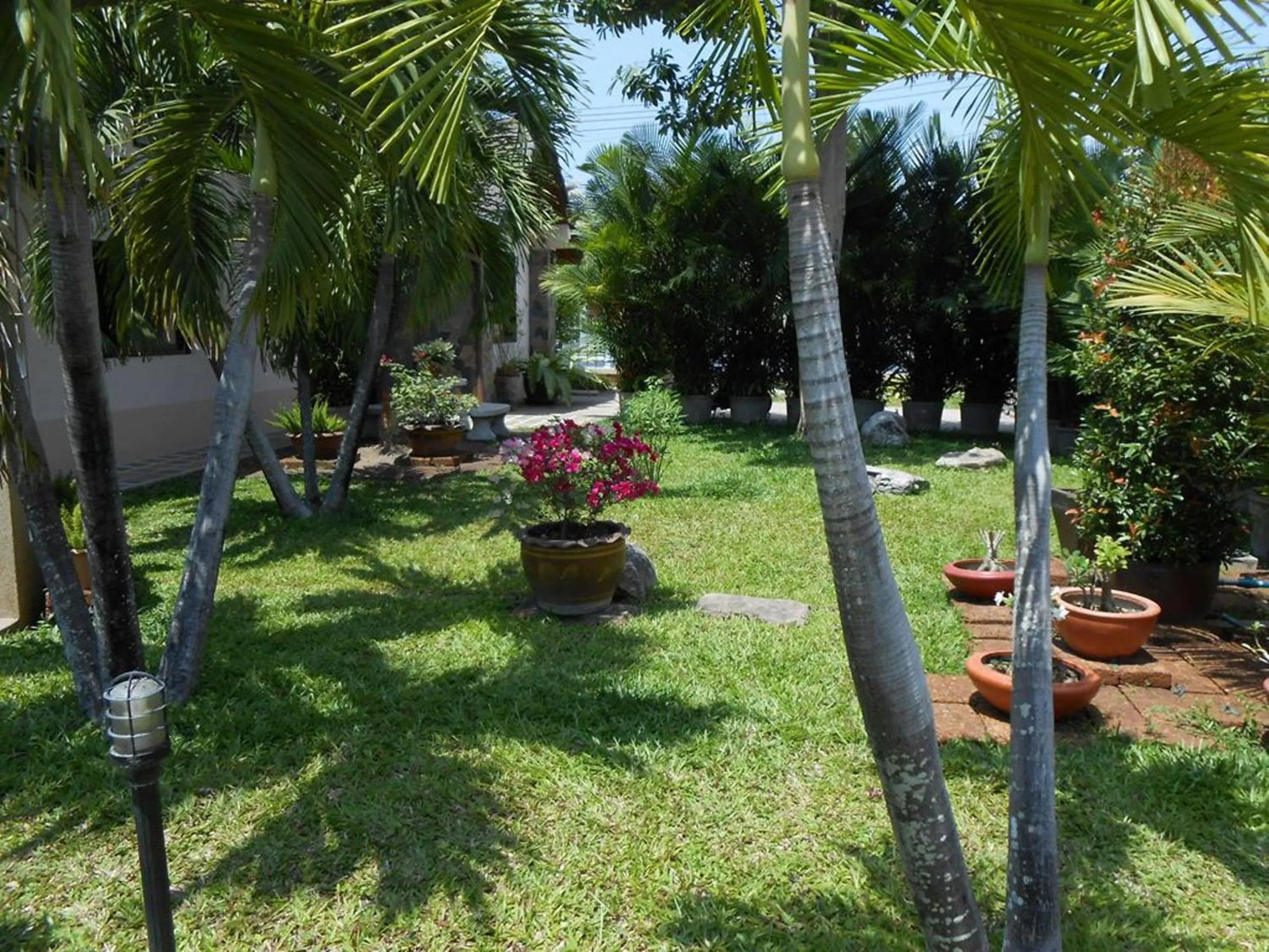 Garden in Lonops Gay Paradise