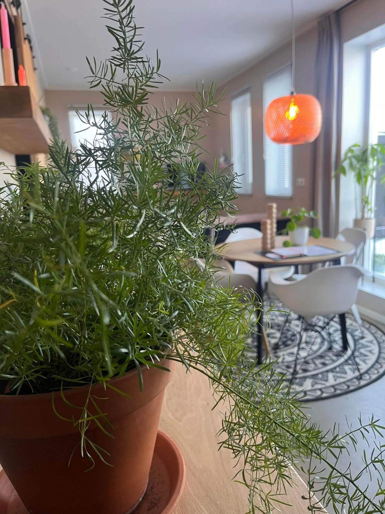 Living room in B&B De Terpen