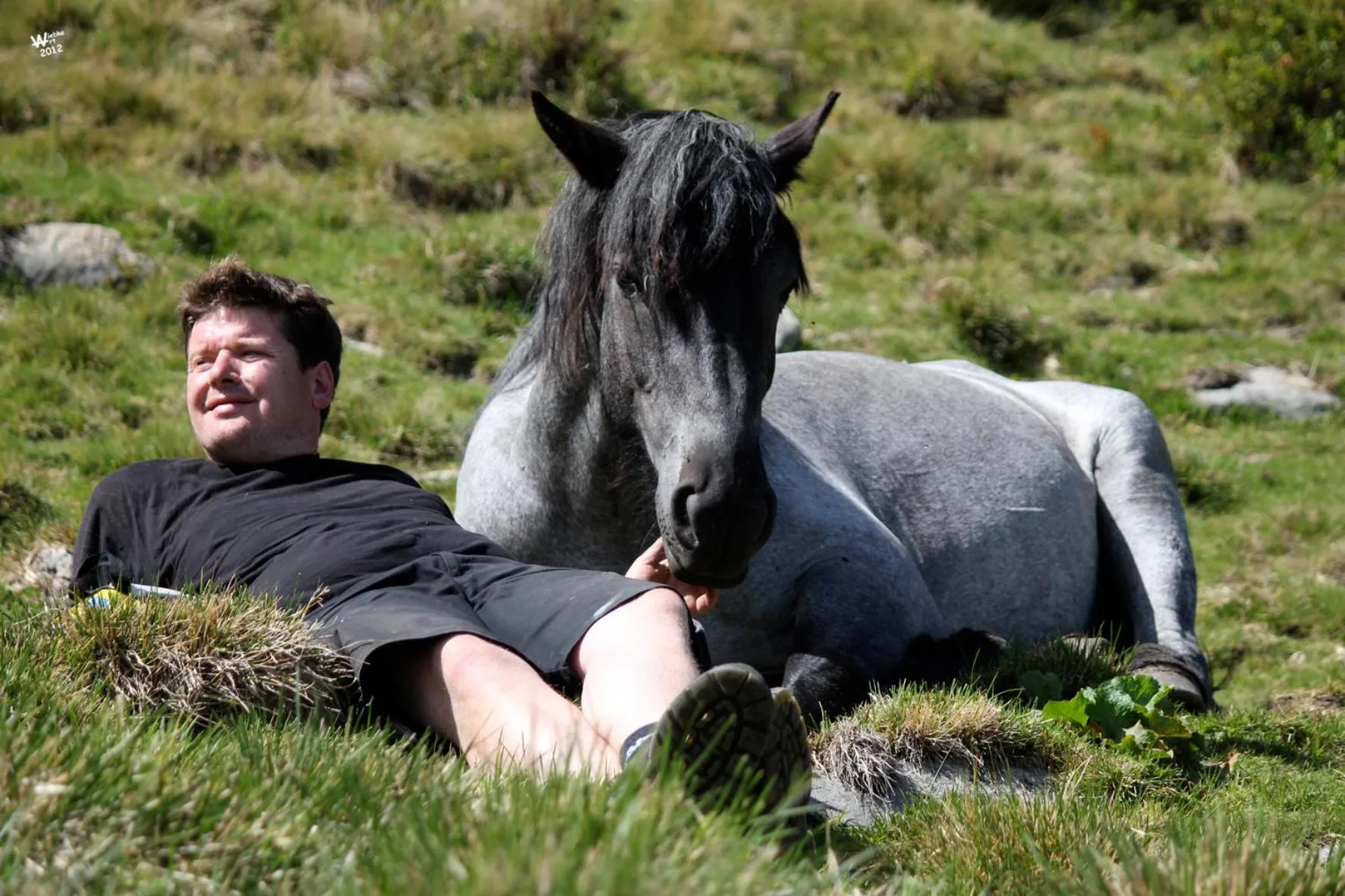 Horse-riding in Landhotel Postgut - Tradition seit 1549