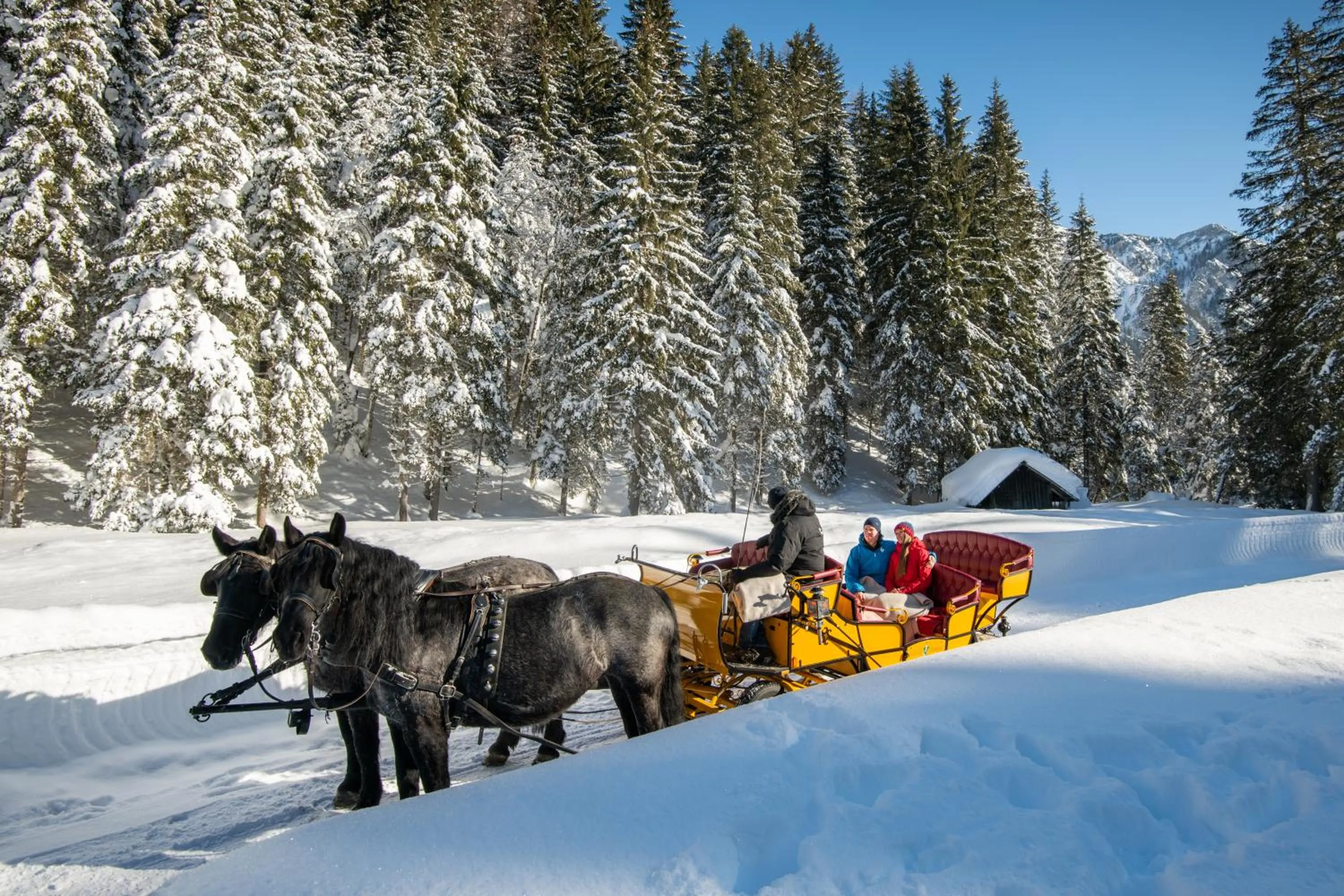 Activities in Landhotel Postgut - Tradition seit 1549