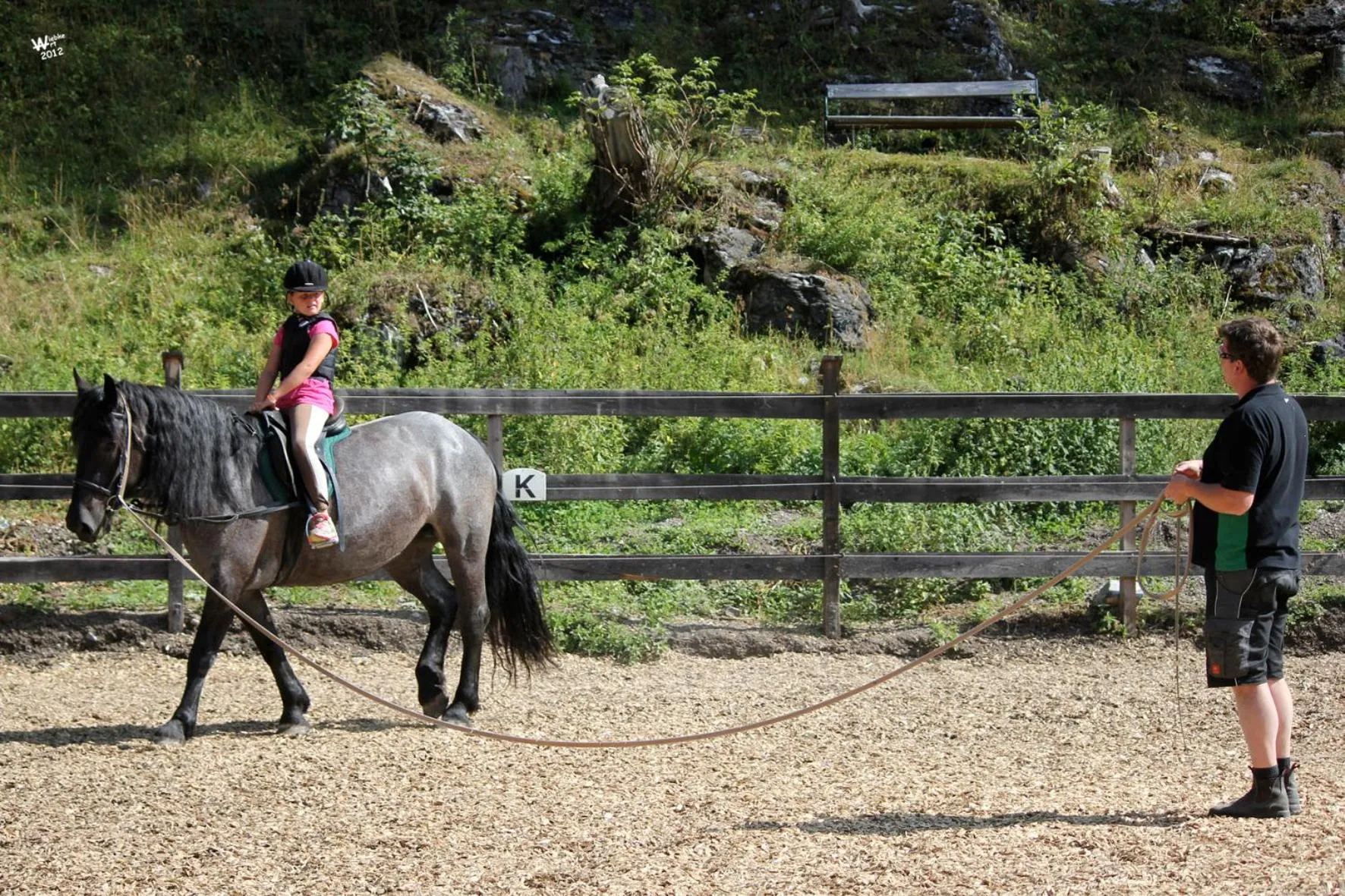 Horse-riding in Landhotel Postgut - Tradition seit 1549