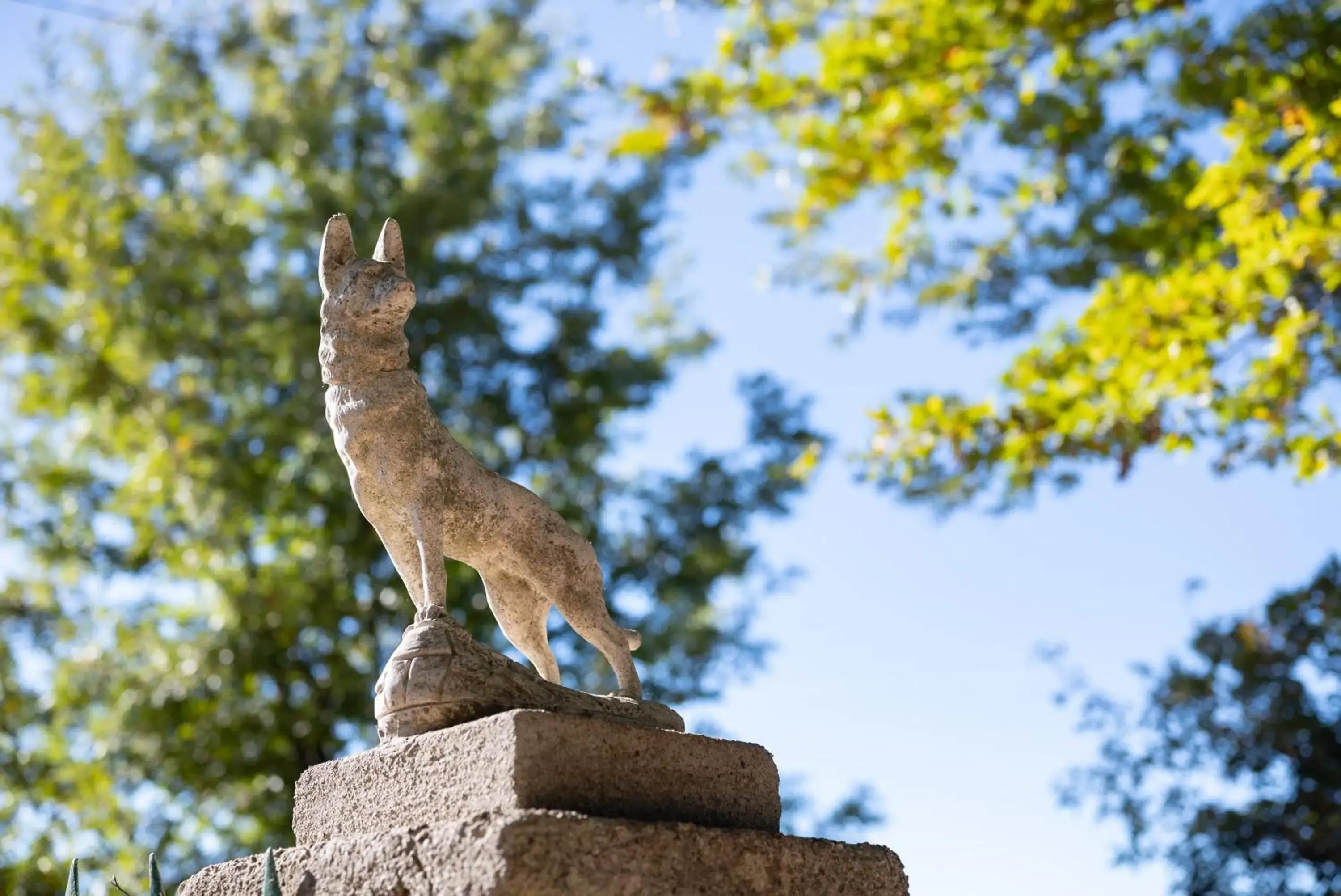 Villa with Private Pool in Relais Il Ciliegio Villa with Private Pool in Relais Il Ciliegio