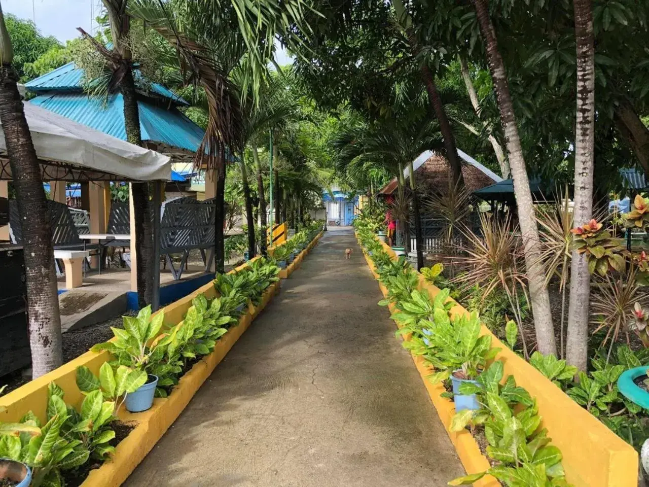 Property building in RedDoorz Near Gaisano Grand Cordova Property building in RedDoorz Near Gaisano Grand Cordova