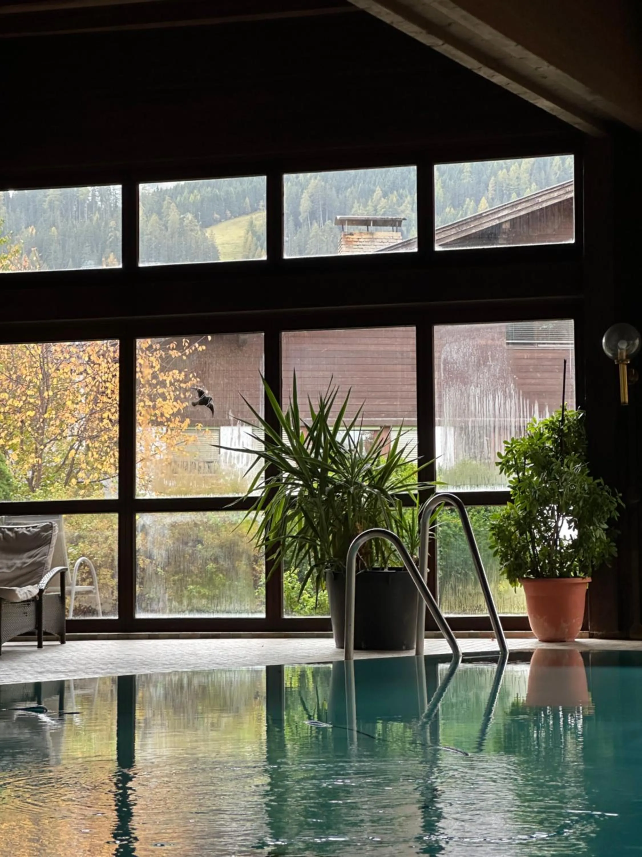 Natural landscape in Hotel Wilder Mann