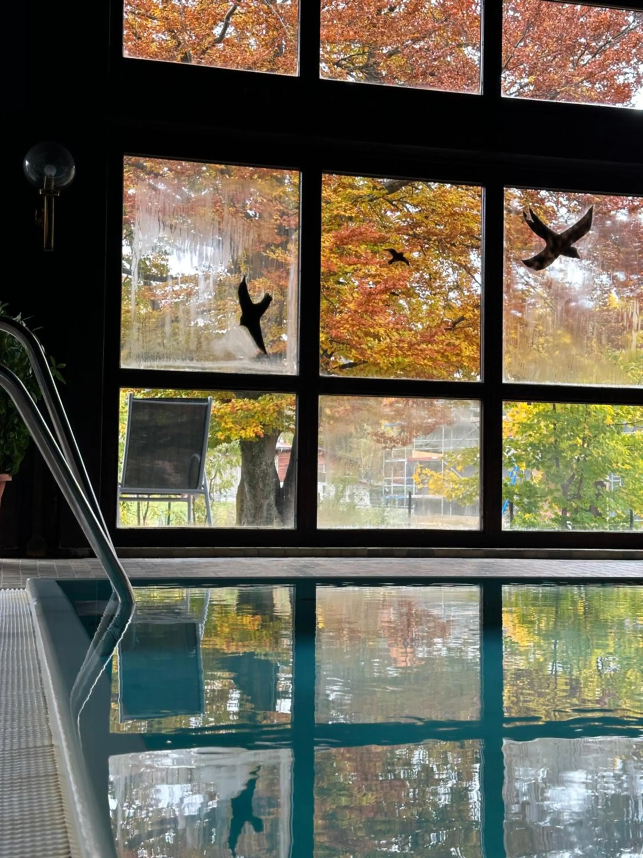 Spa and wellness centre/facilities in Hotel Wilder Mann