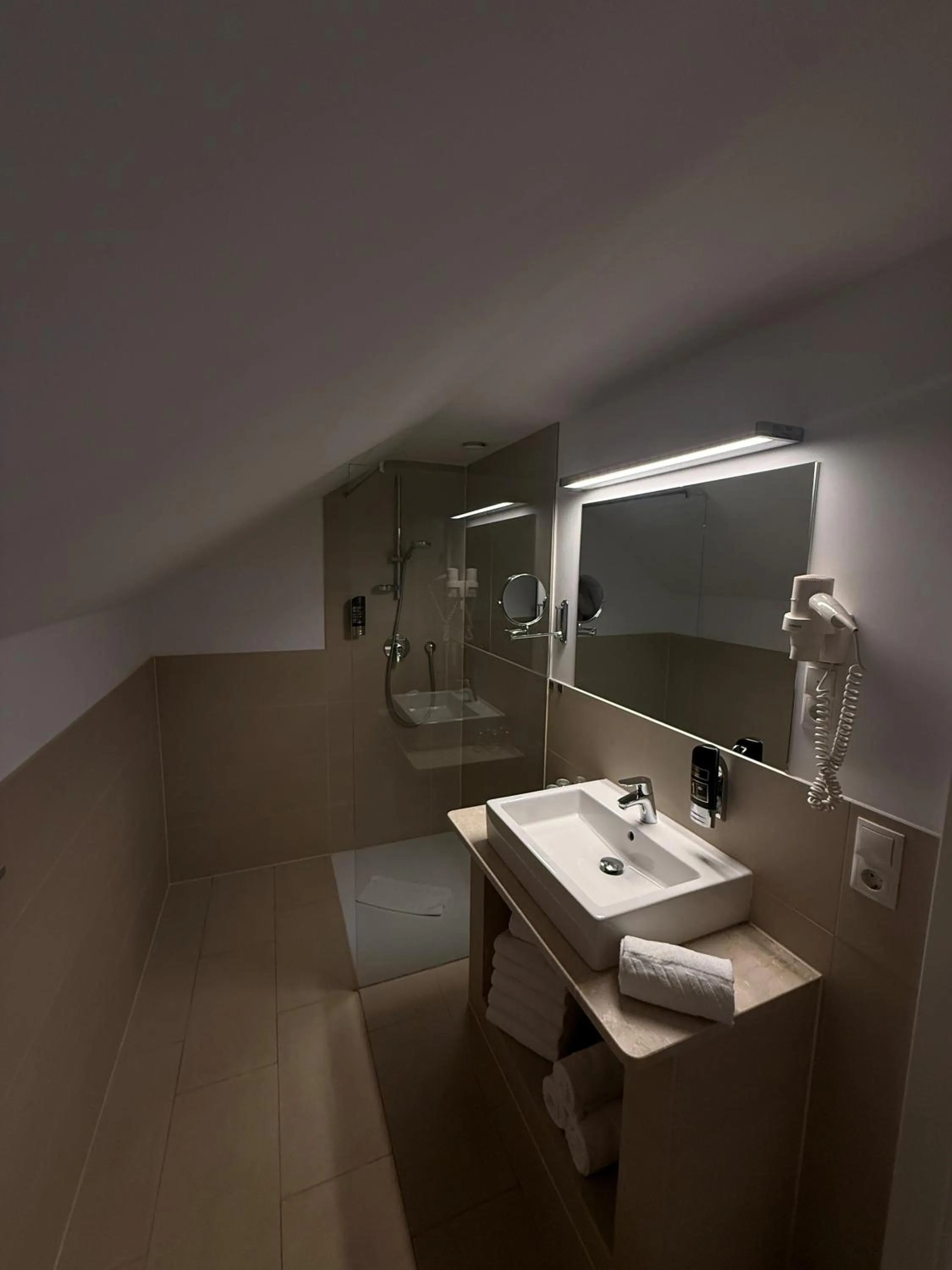Bathroom in Hotel Wilder Mann