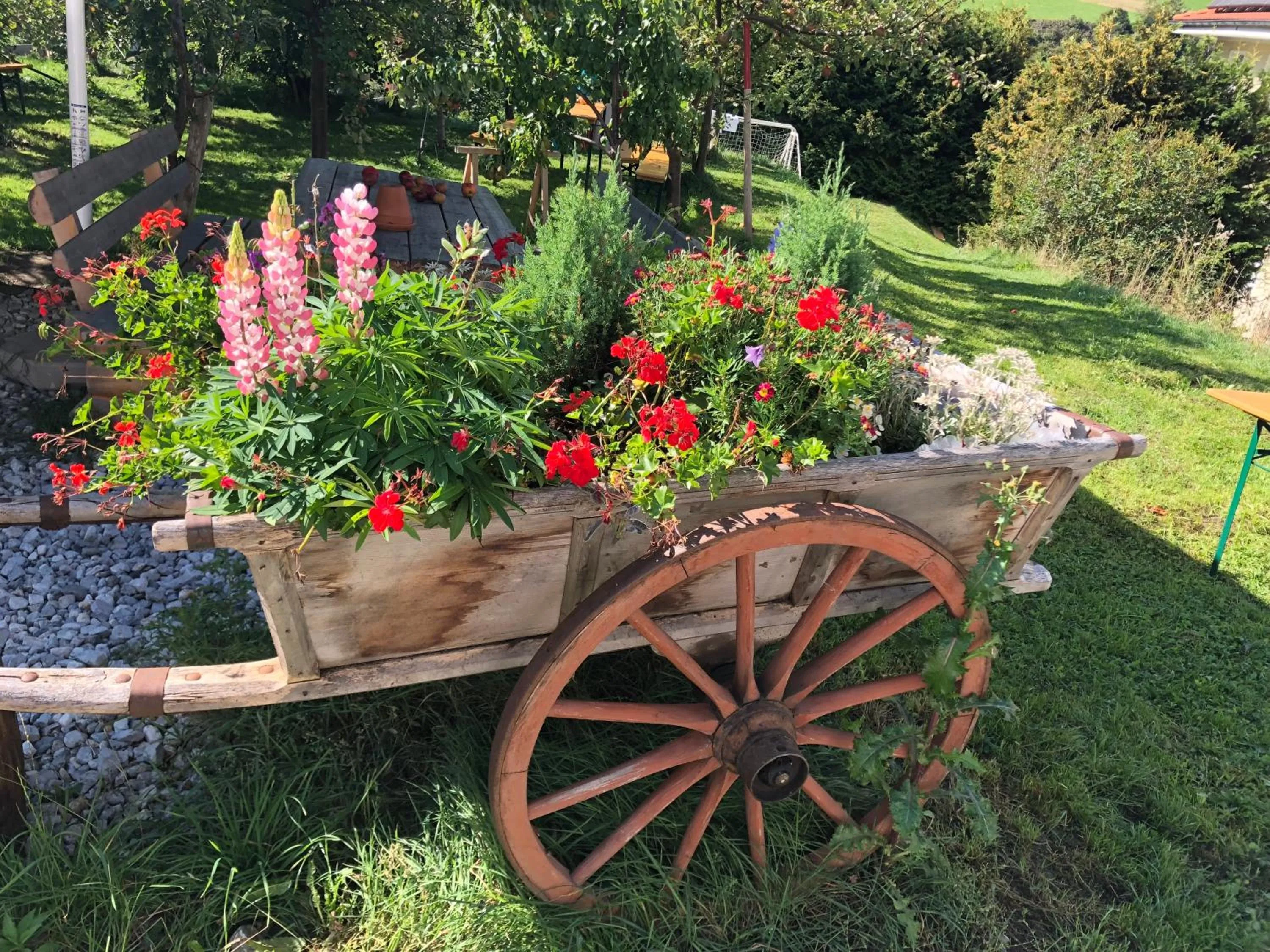 Nearby landmark in Hotel Wilder Mann