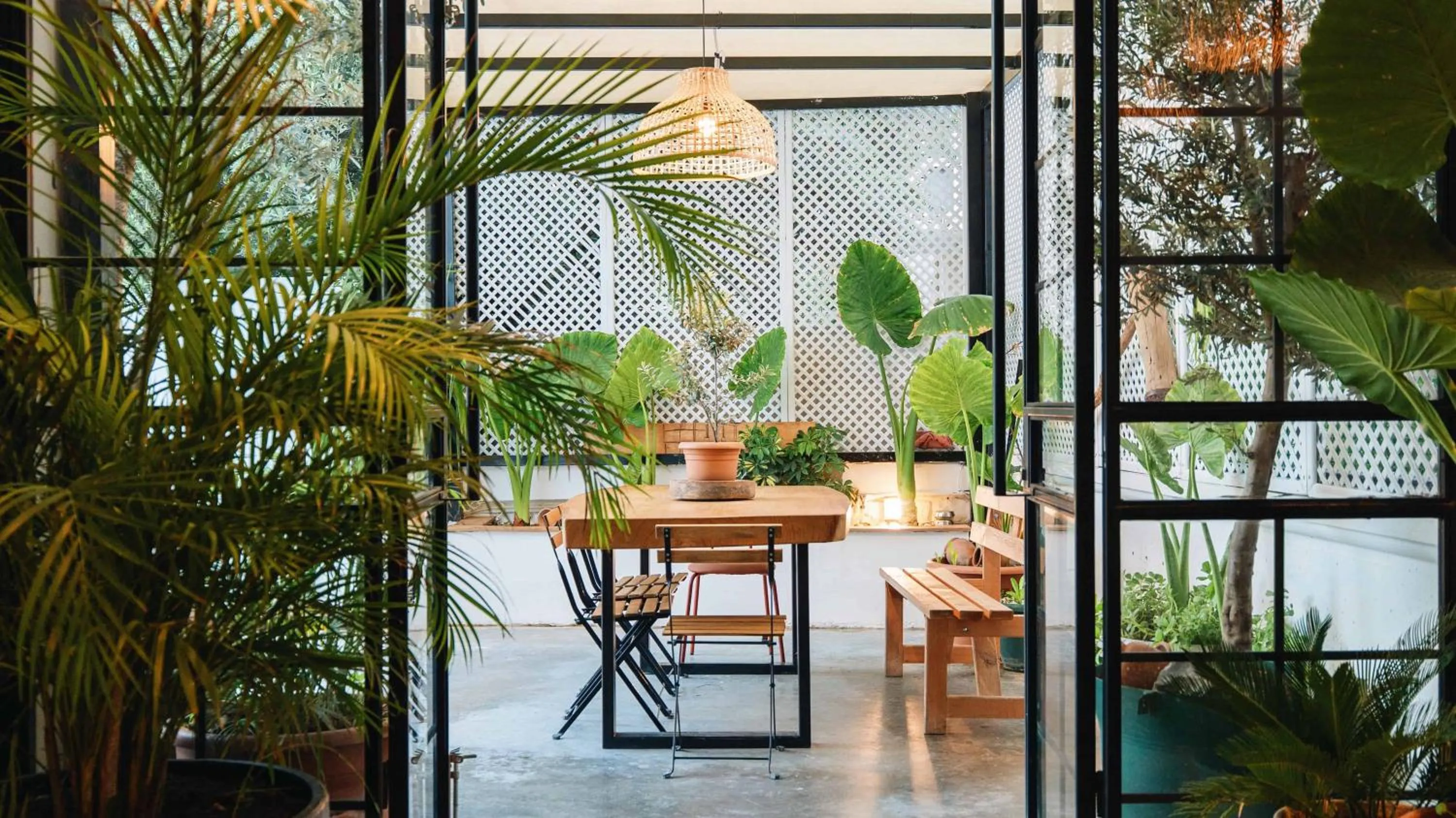 Patio in Belci City House