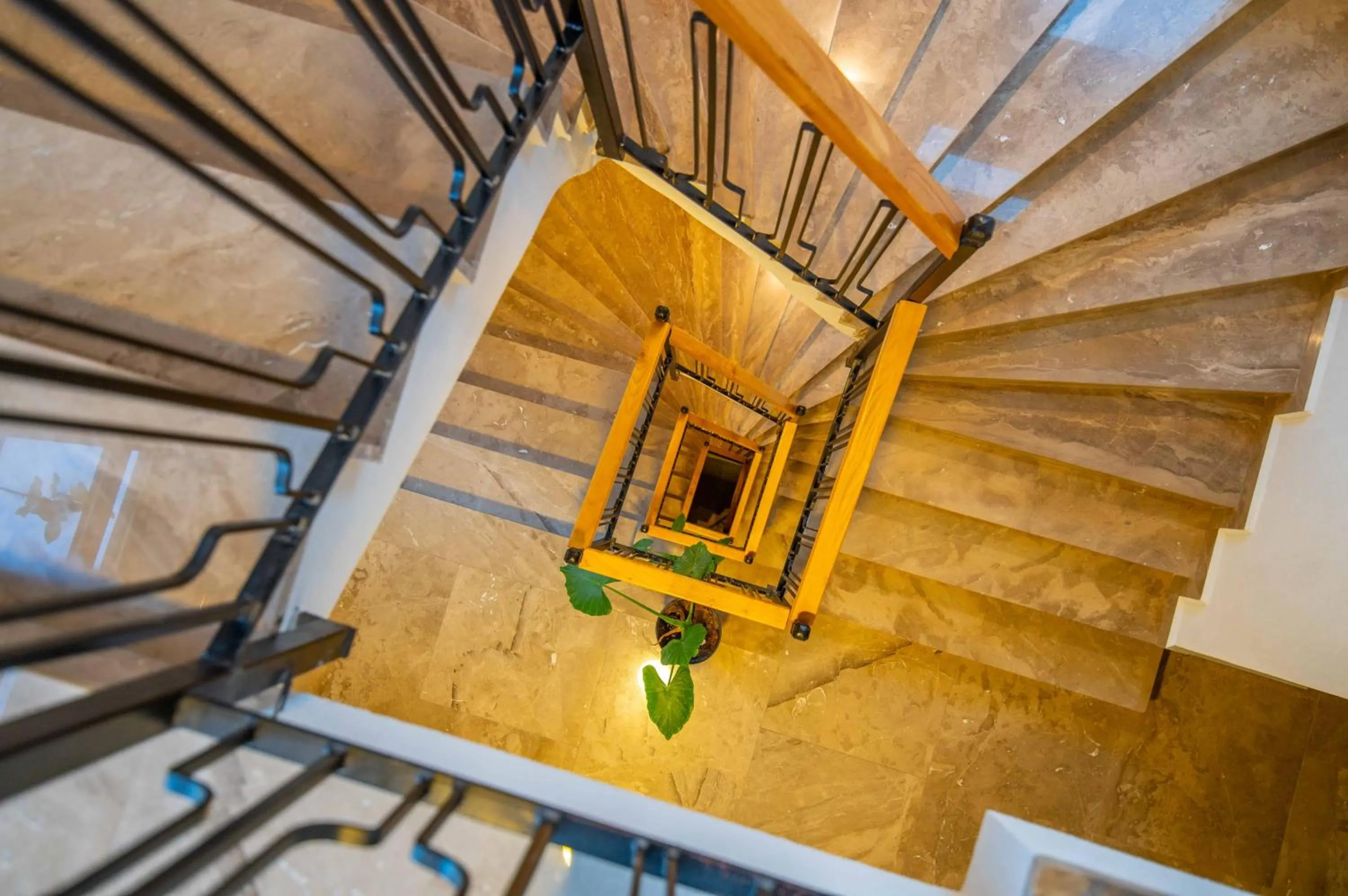 Property building in Belci City House