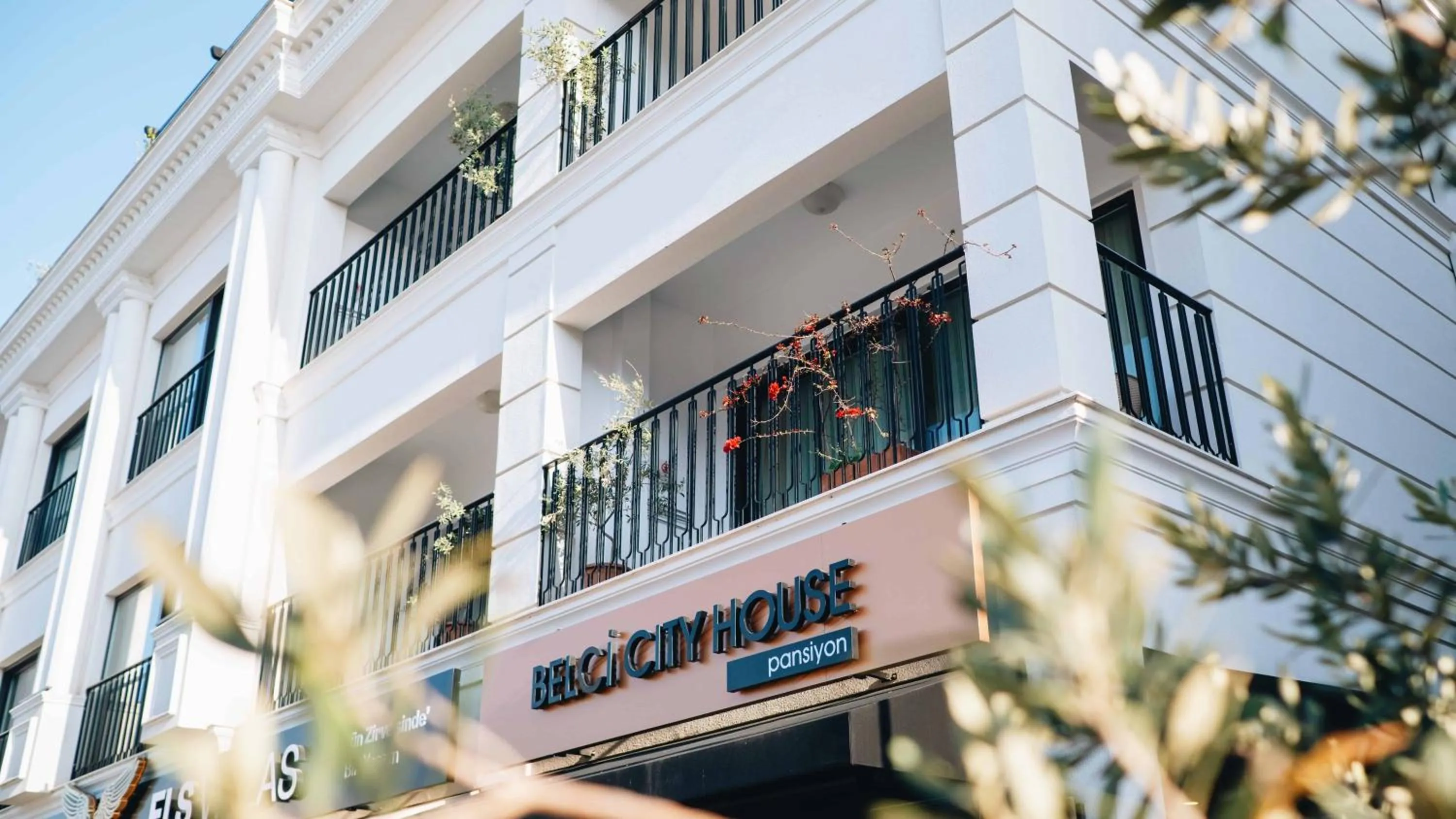 Property building in Belci City House