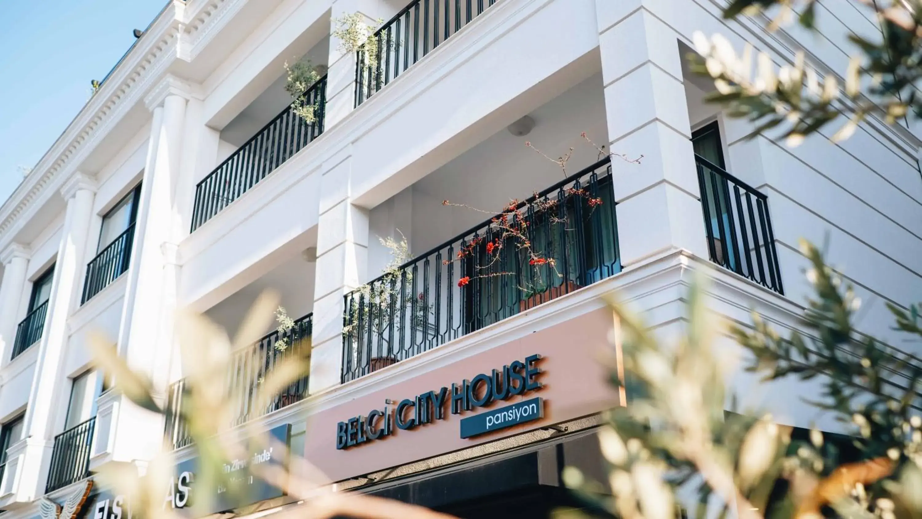 Belci City House Belci City House